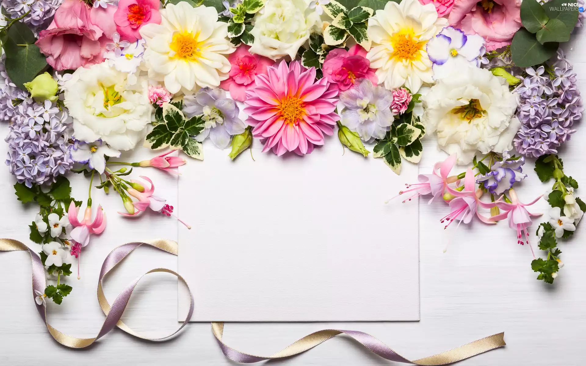 card, composition, color, ribbon, Flowers