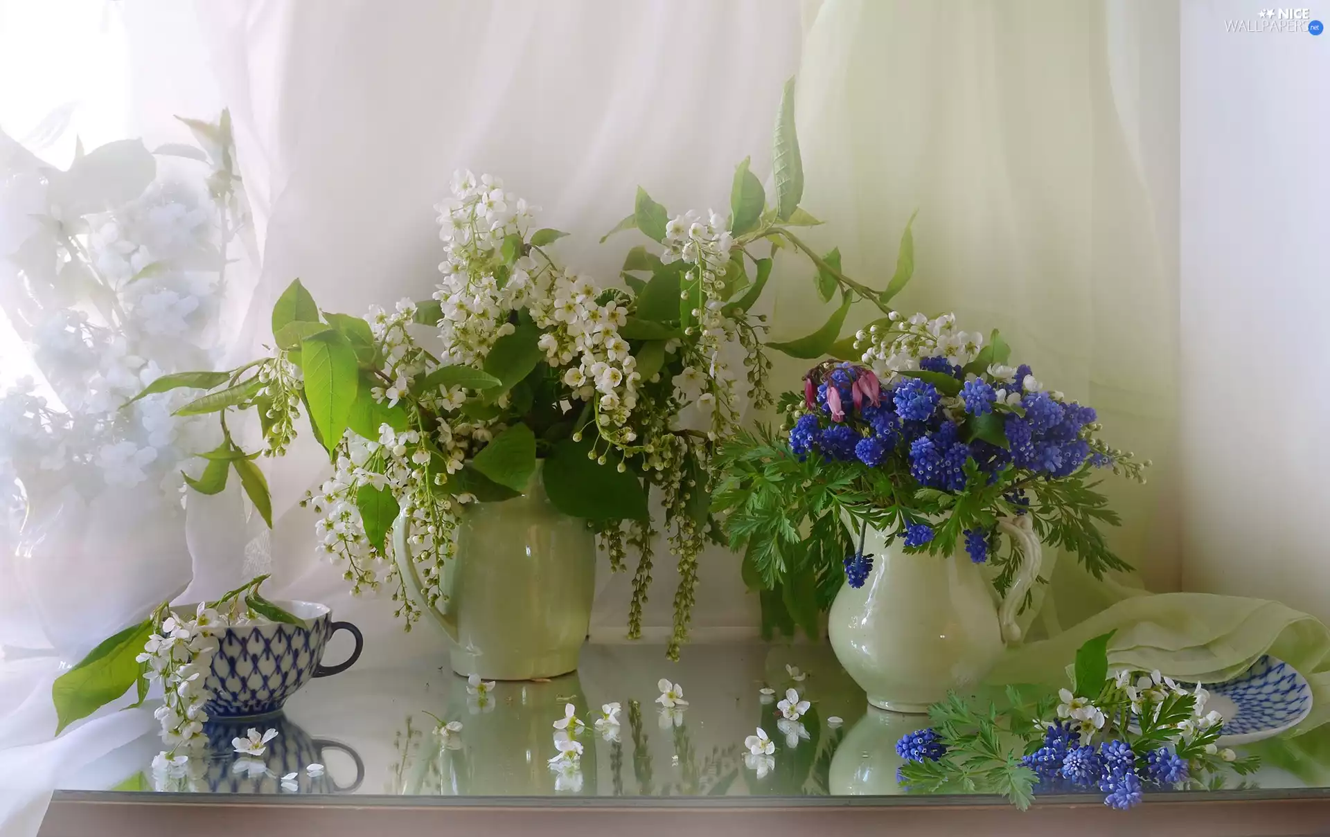 Muscari, bouquet, cup, Bird Cherry, Flowers, jug, composition