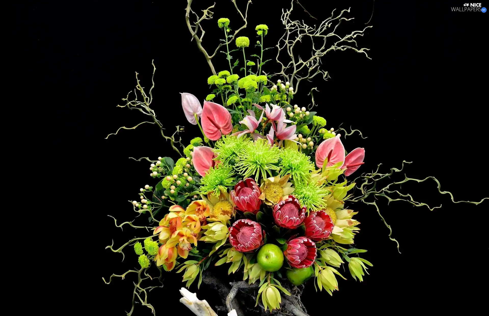 composition, bouquet, flowers