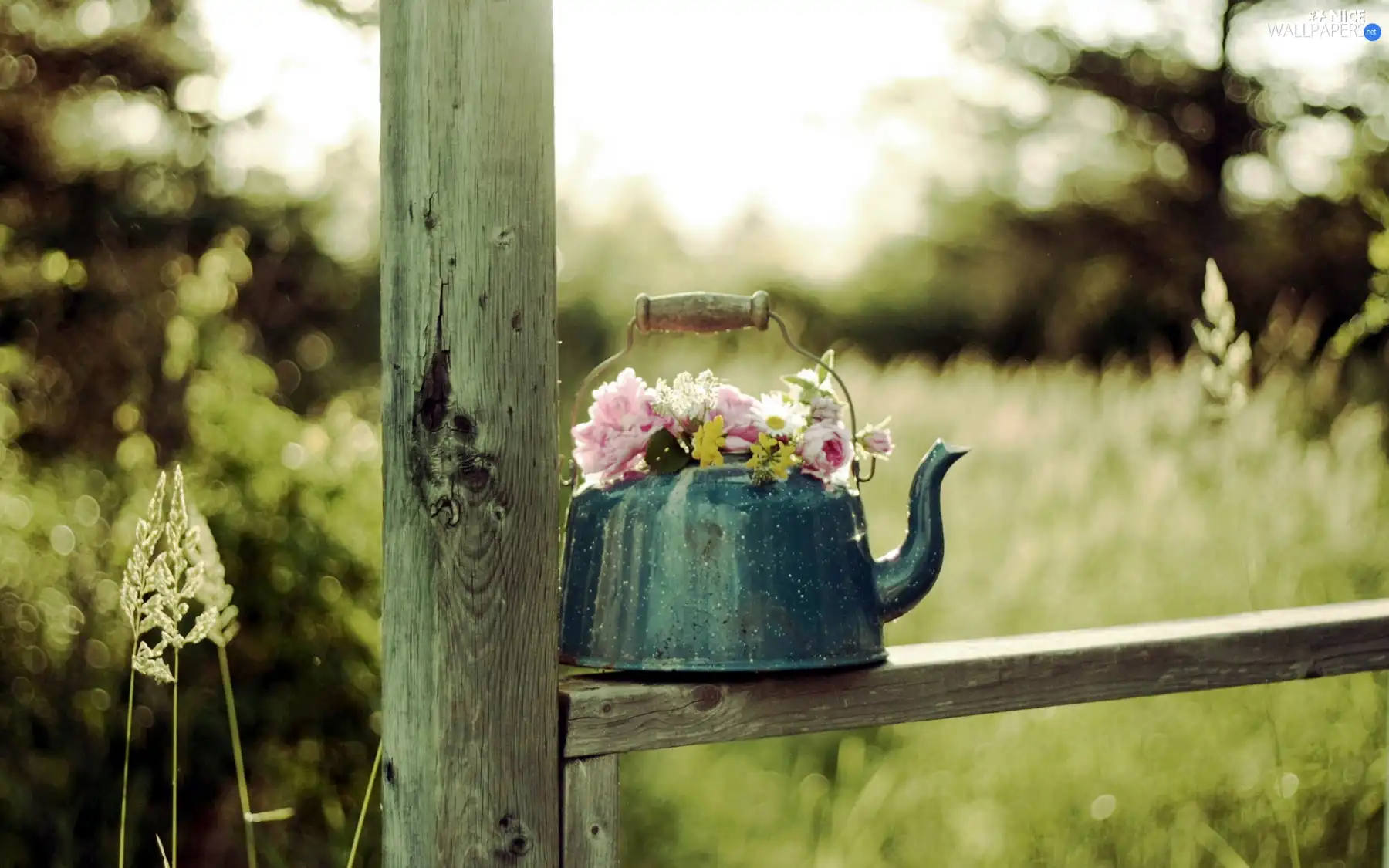 Flowers, composition