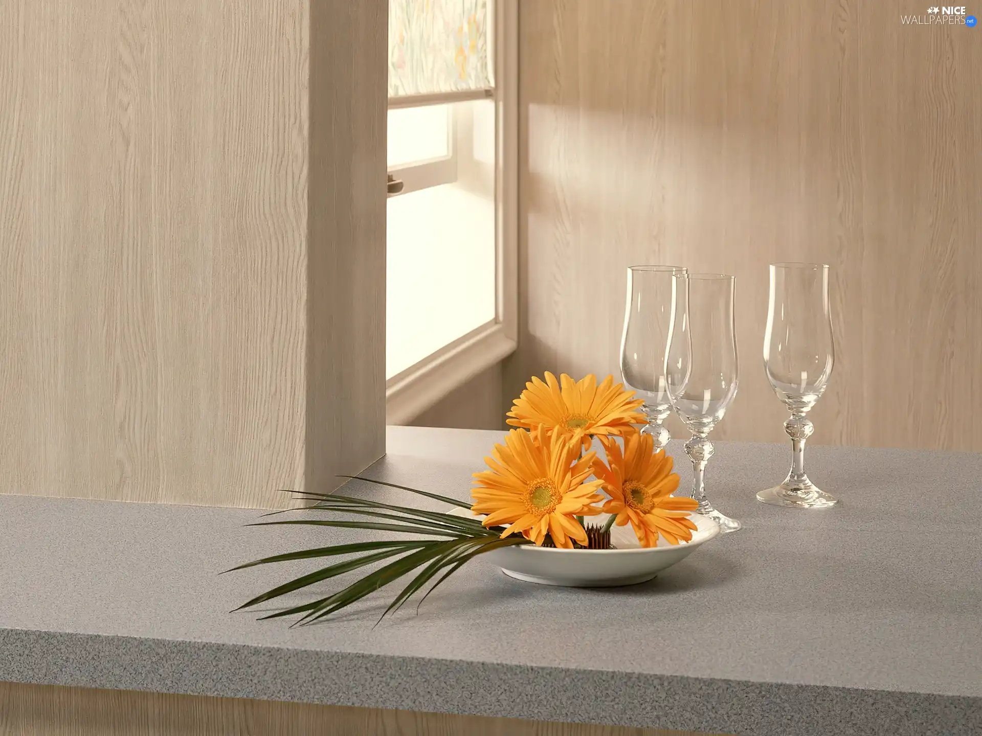 composition, gerberas, glasses