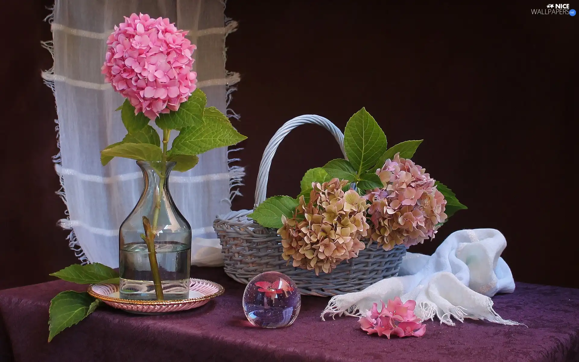 hydrangeas, composition