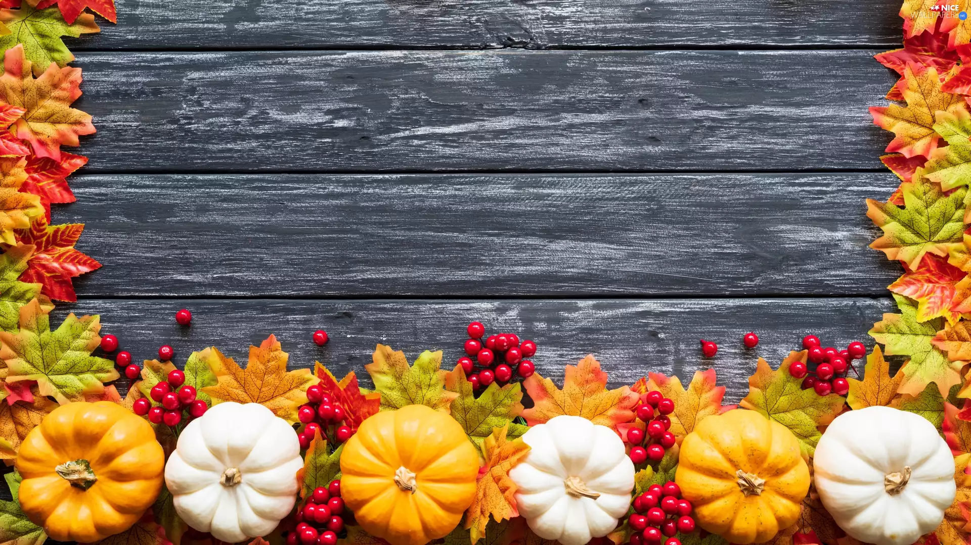 boarding, composition, Leaf, pumpkin, Autumn