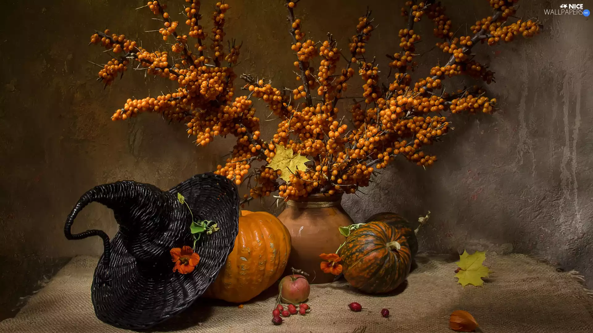 Flowers, composition, pumpkin, Vase, Hat
