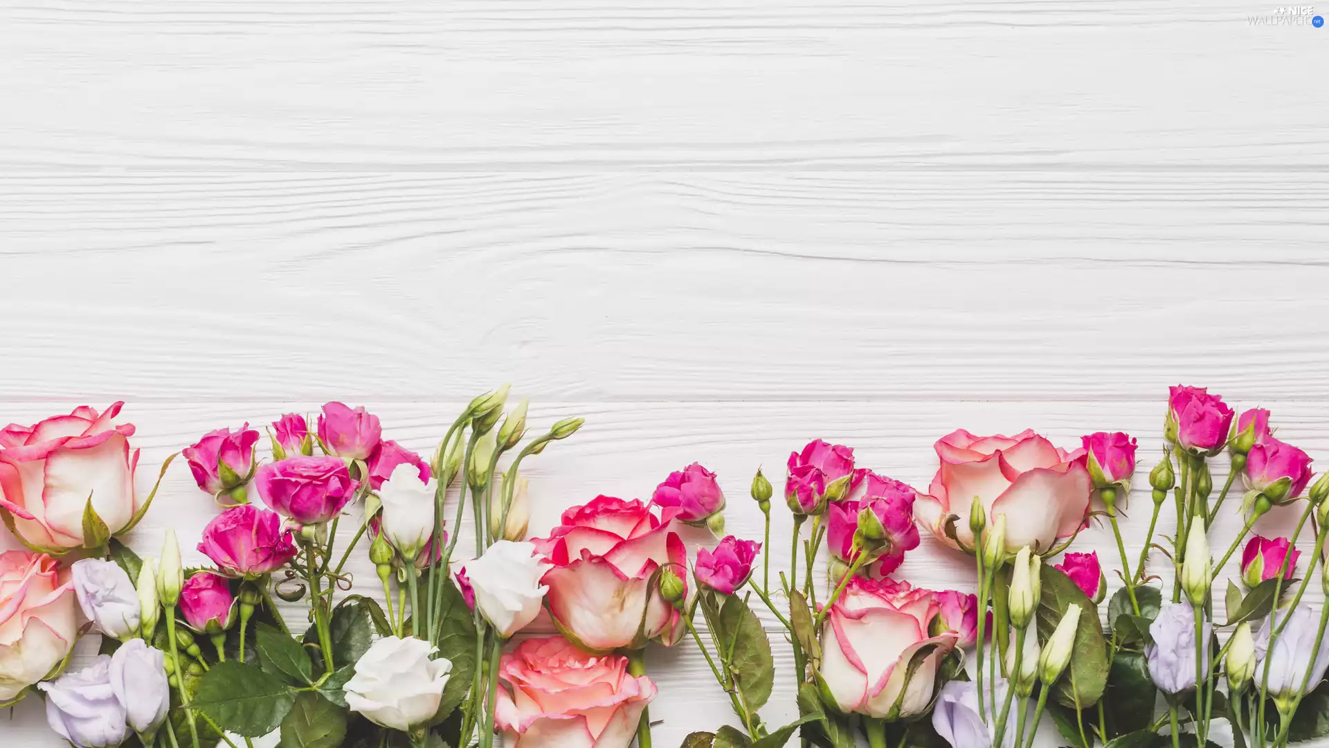 Eustoma, Flowers, boarding, composition, White, roses