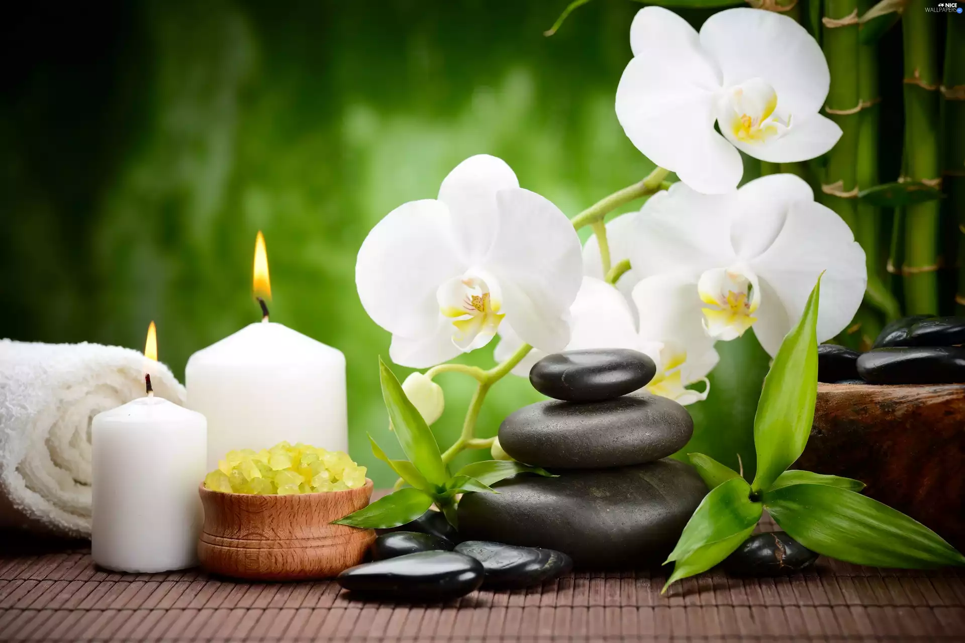 Spa, orchids, salt, composition, Flowers, Stones, Candles