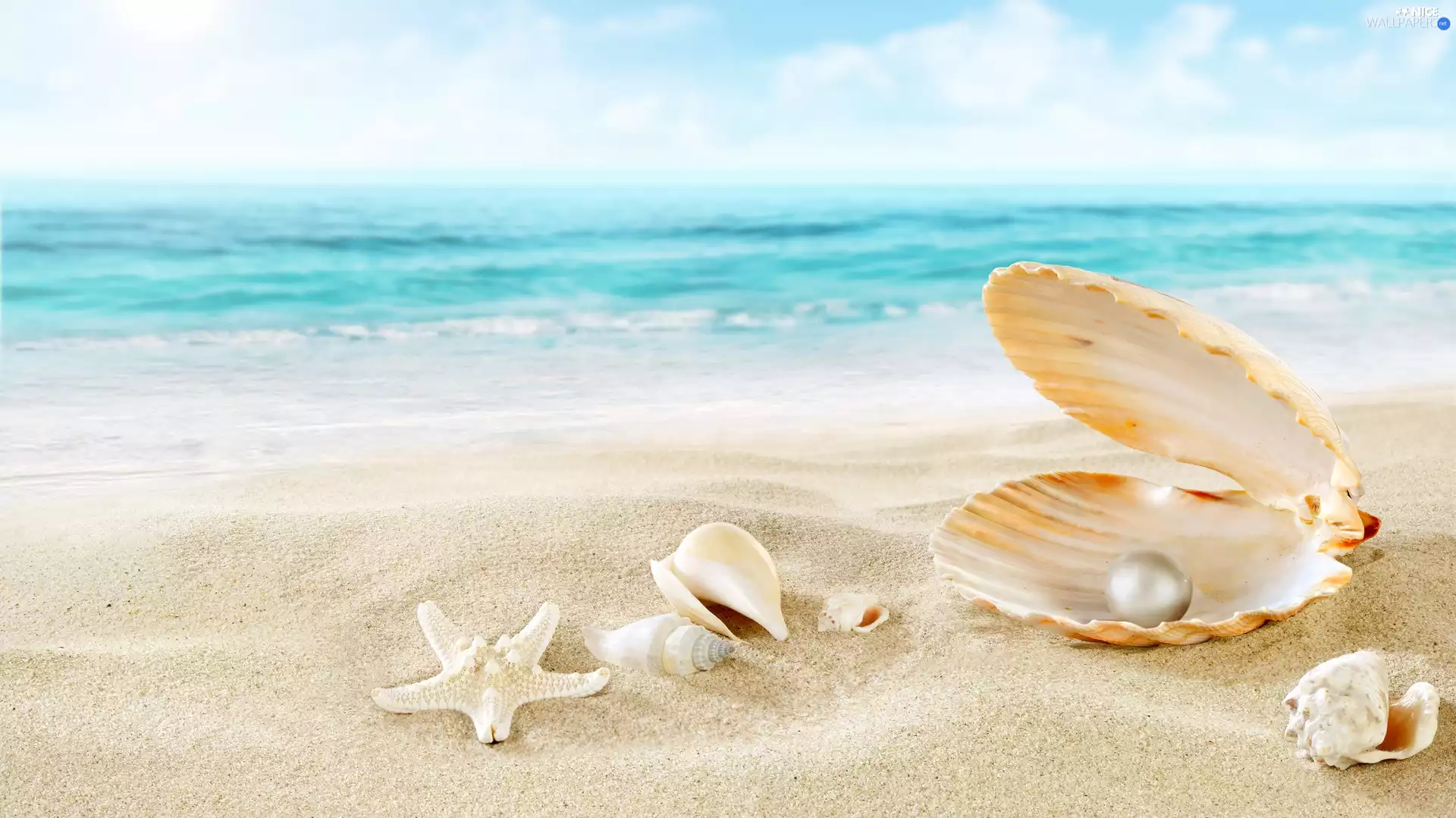 starfish, pearl, sea, composition, Sand, Shells