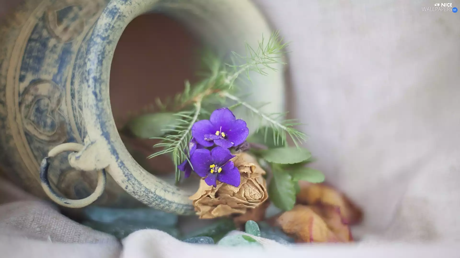 rose, pitcher, leaves, composition, Sepolia, withered