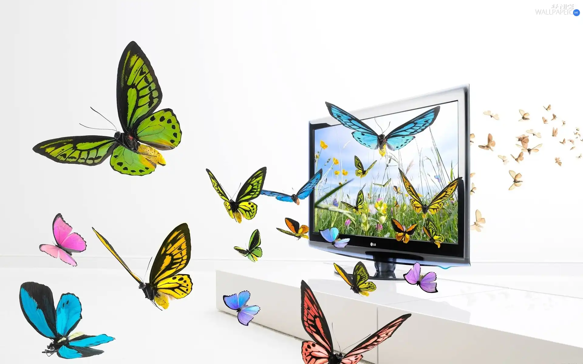 Computer, fancy, graphics