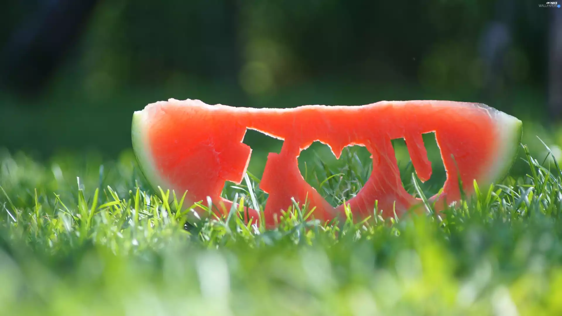 watermelon, confession, Love things, grass