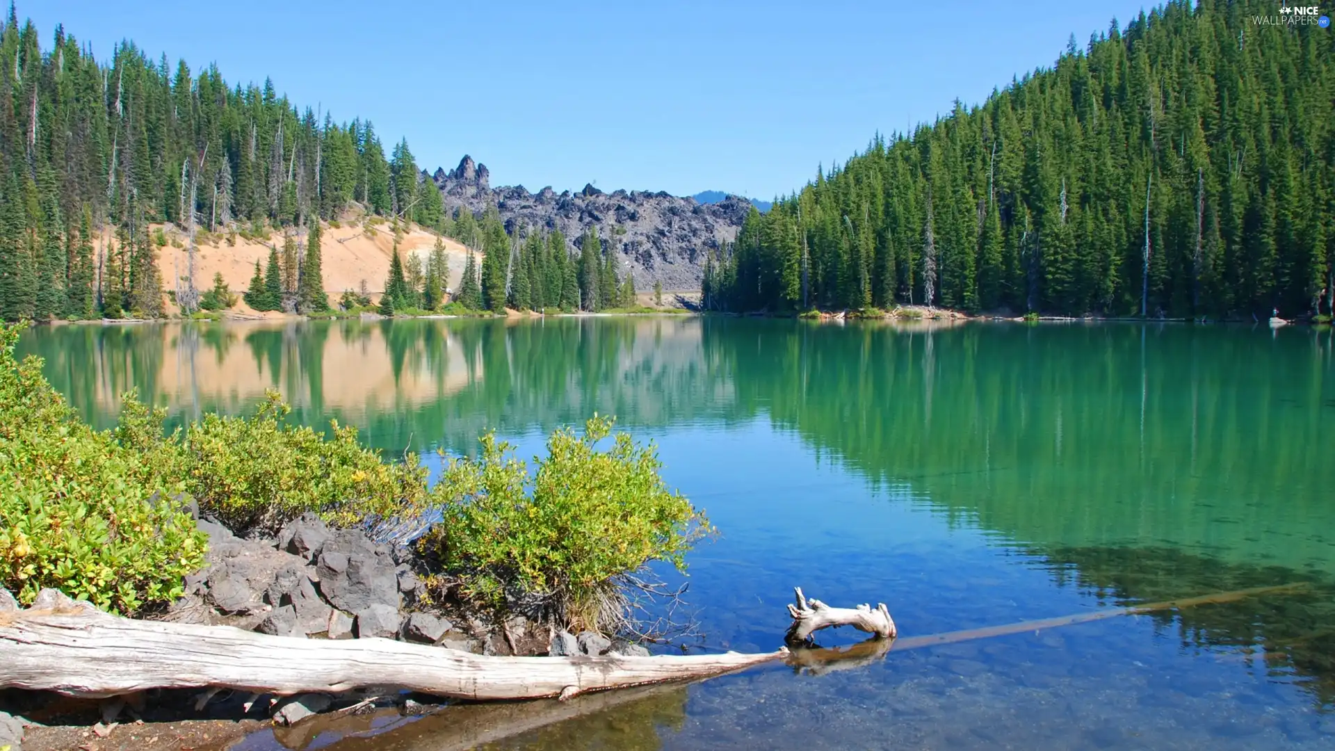 Mountains, forest, coniferous, lake