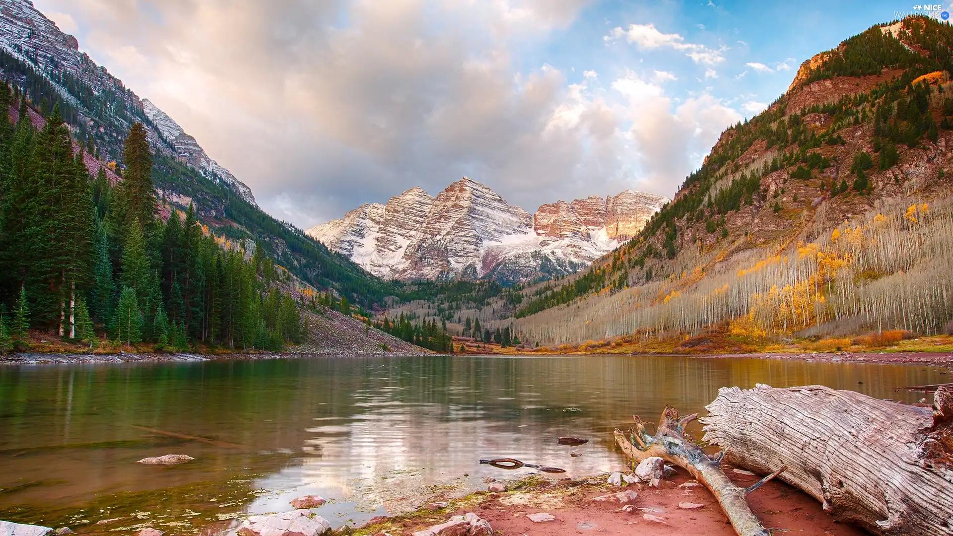 trees, Mountains, Conifers, Colorado, viewes, lake