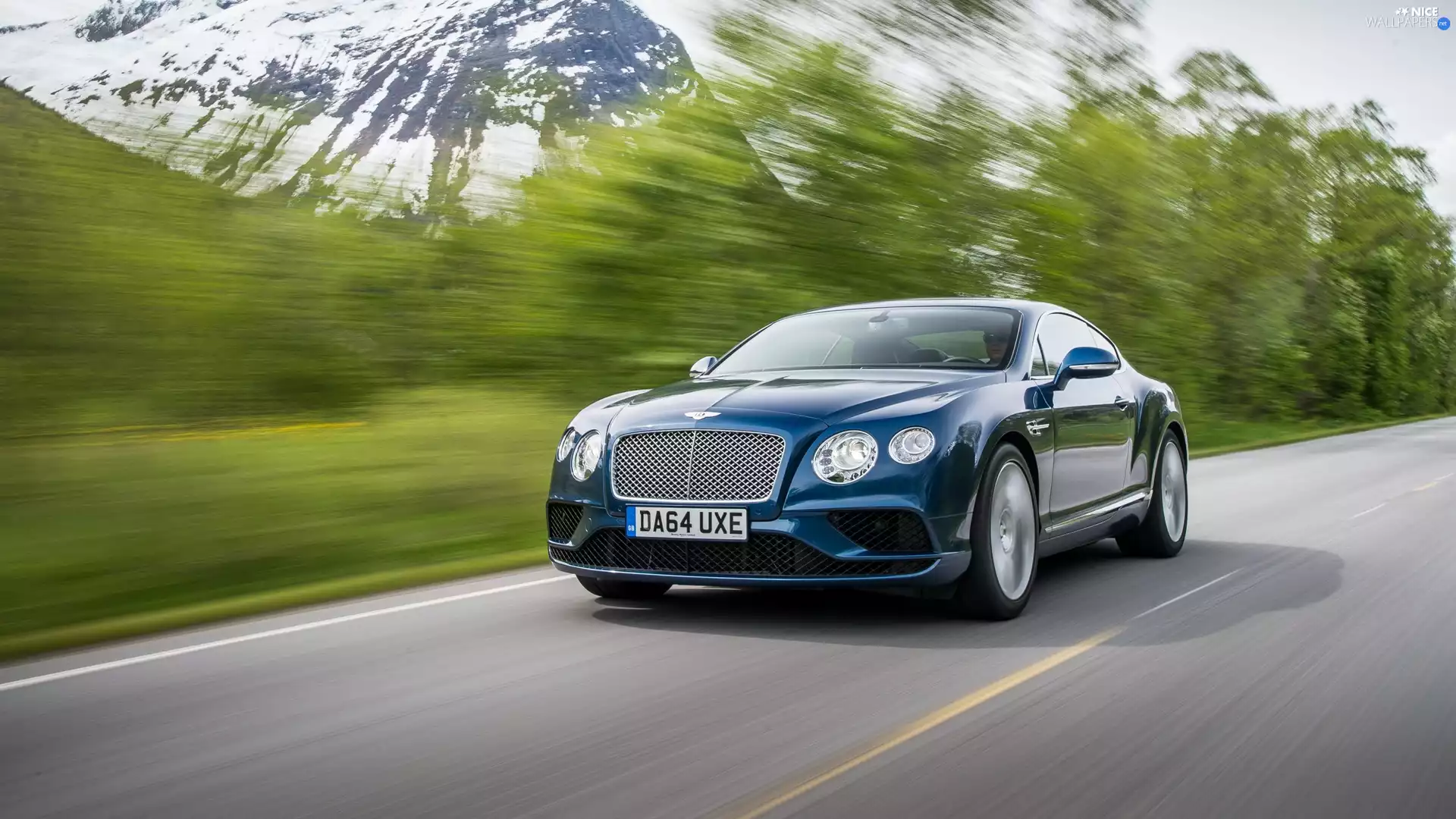 2016, blue, Bentley Continental GT V8