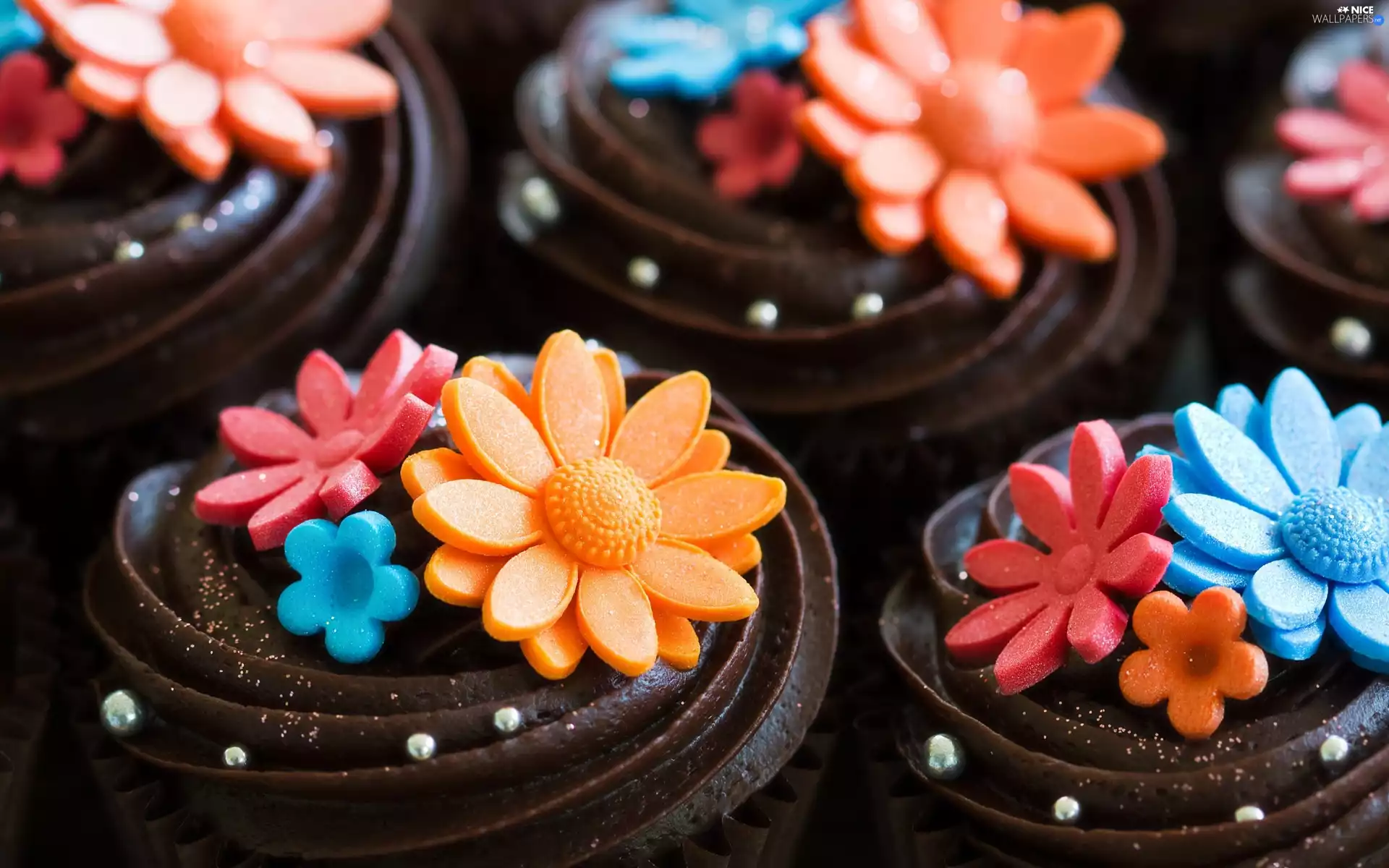 chocolate, color, Flowers, Cookies