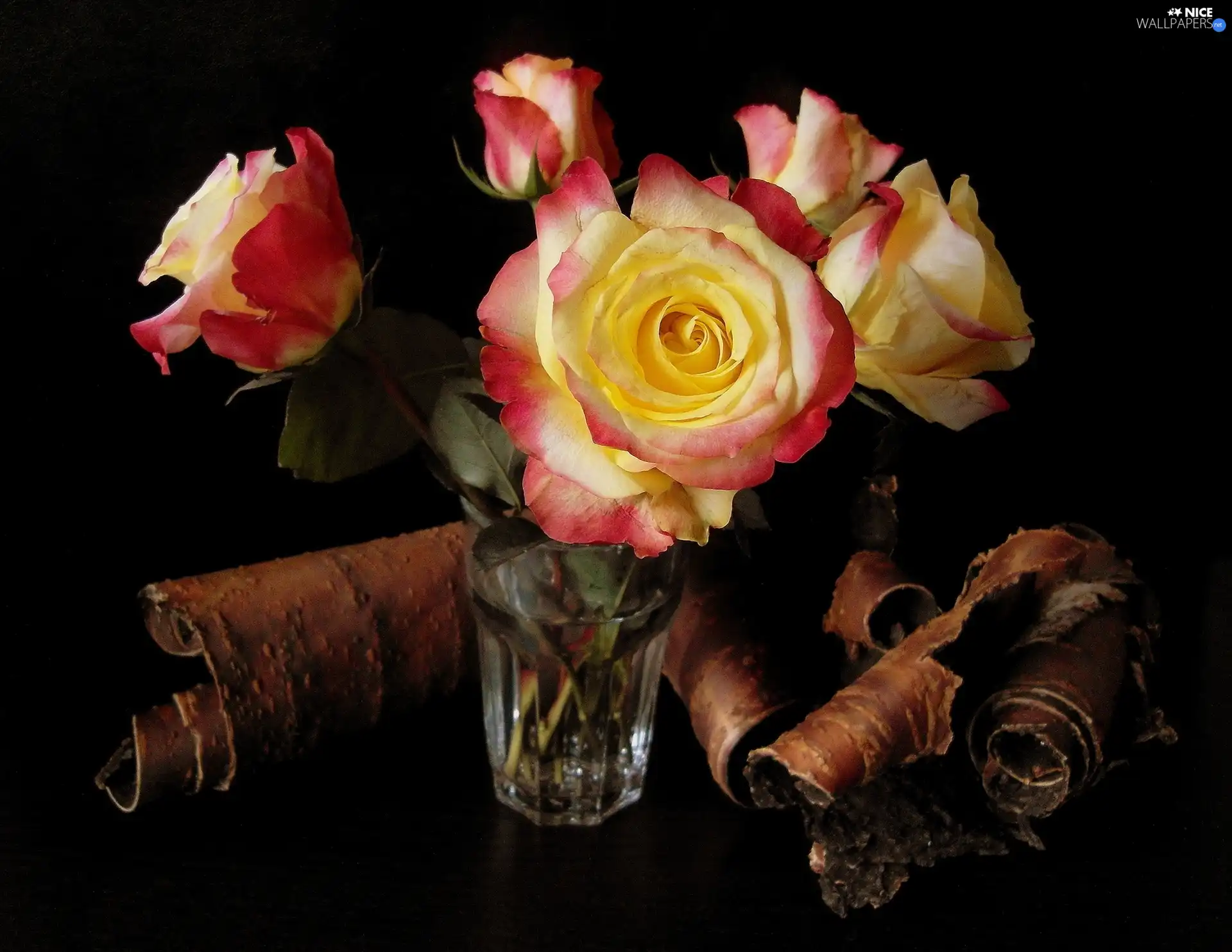 cork, bouquet, roses
