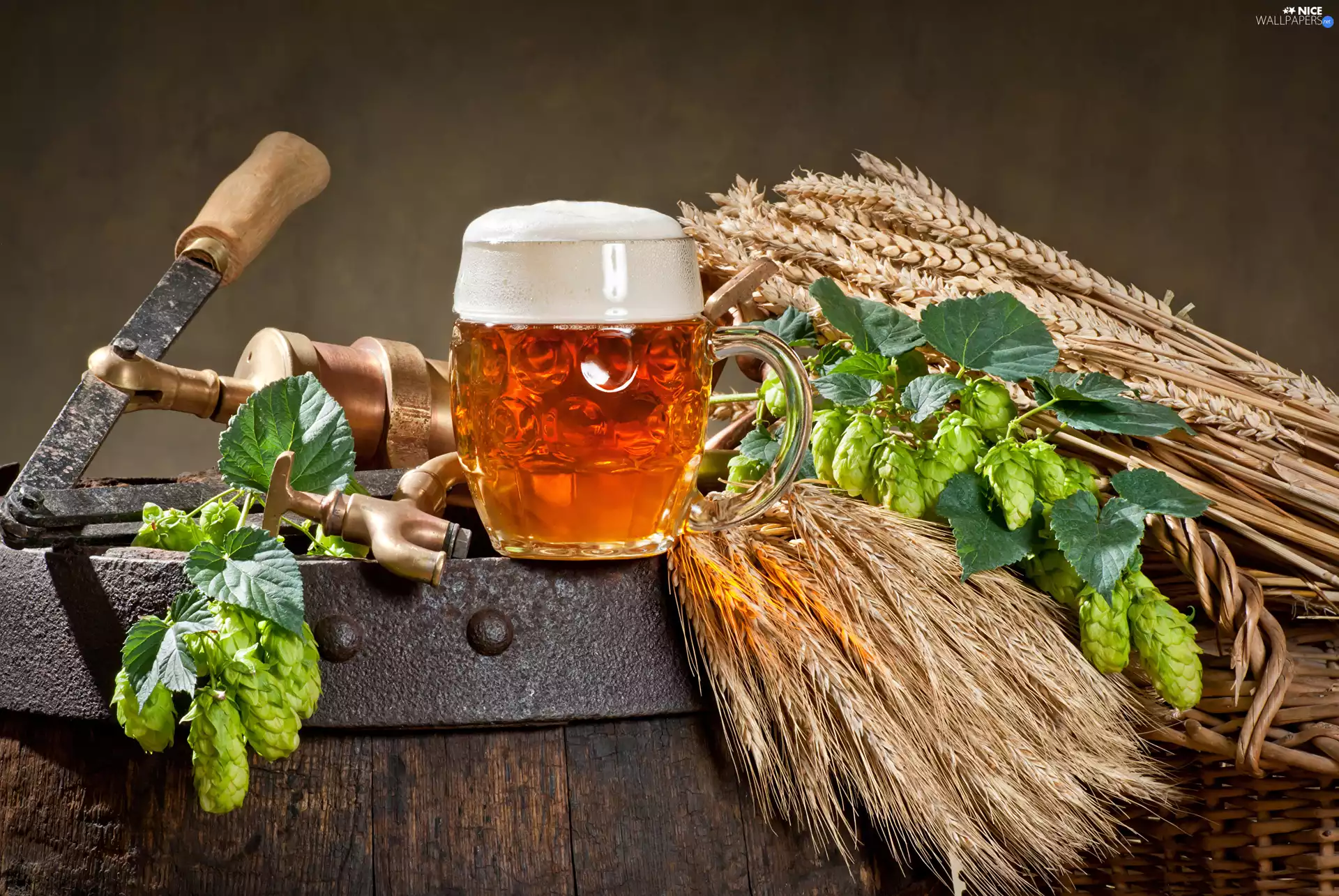 mug, composition, hop, corn, barrel, Beer