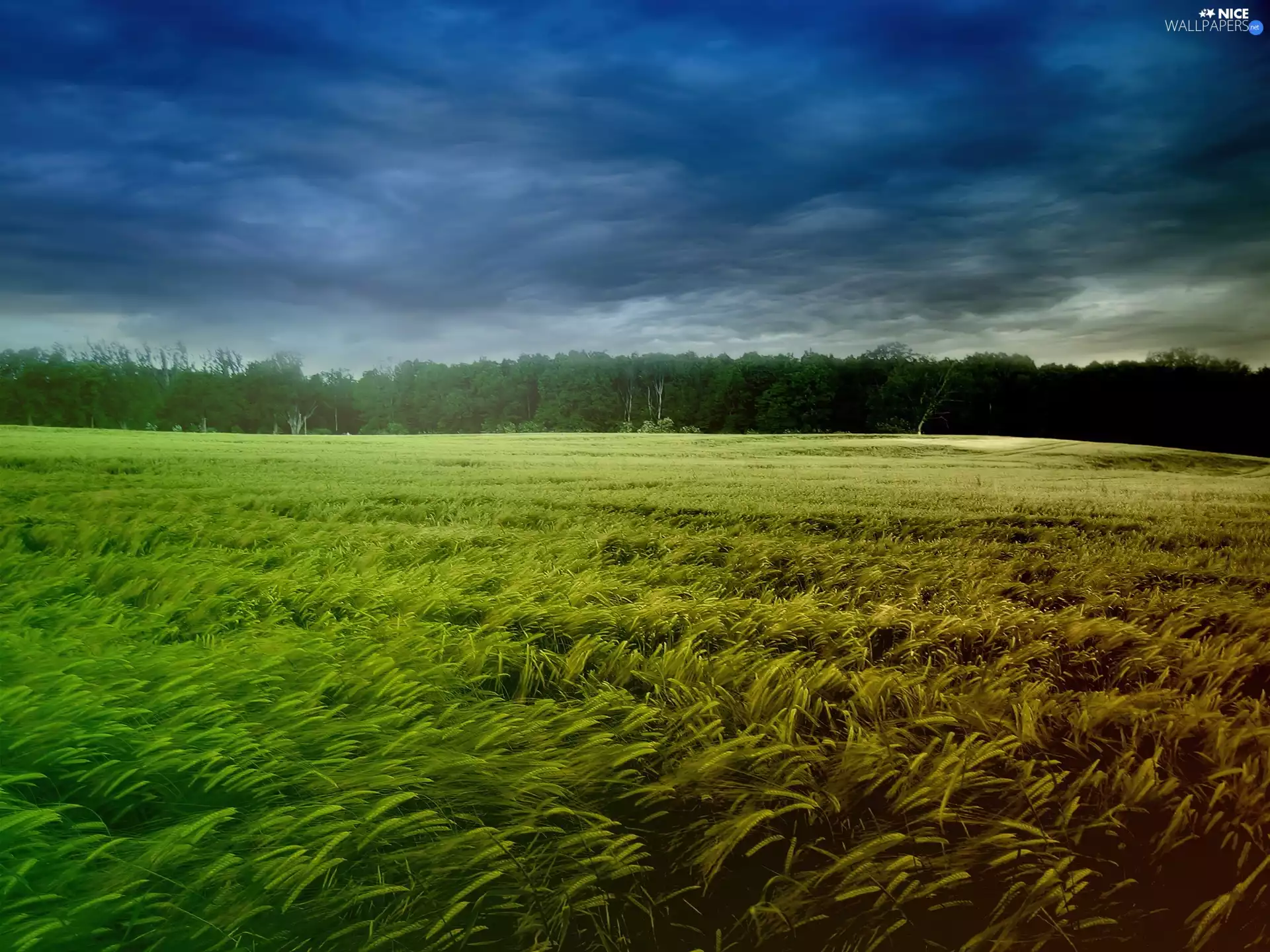 corn, breath, clouds