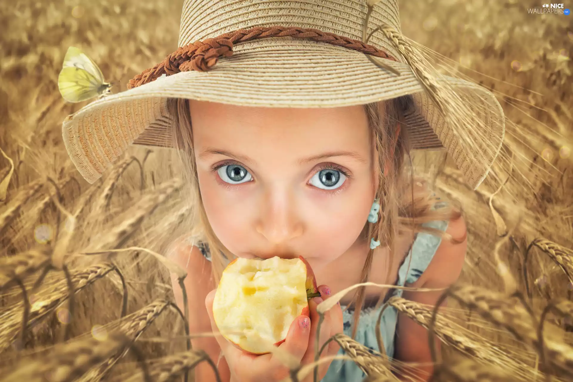 butterfly, girl, Field, corn, Apple, Hat