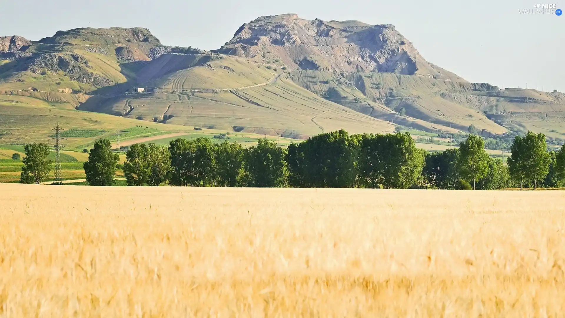 Mountains, viewes, corn, trees