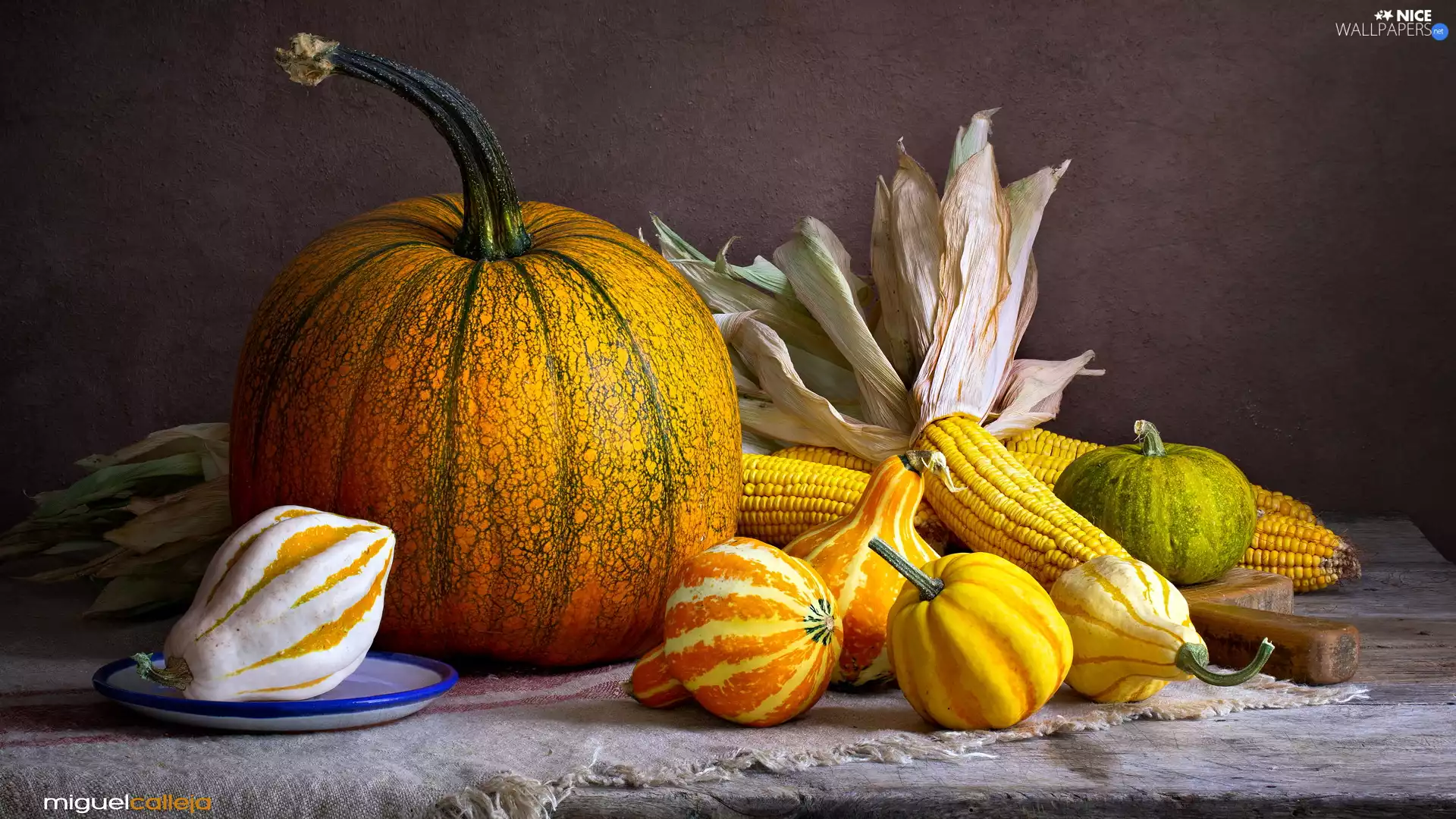 corn, composition, pumpkin