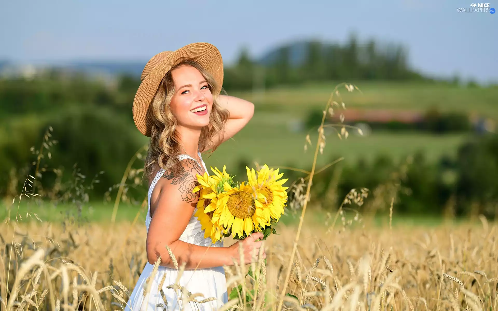 corn, Field, Women, Blonde, dress, Nice sunflowers, Smile, White, Hat