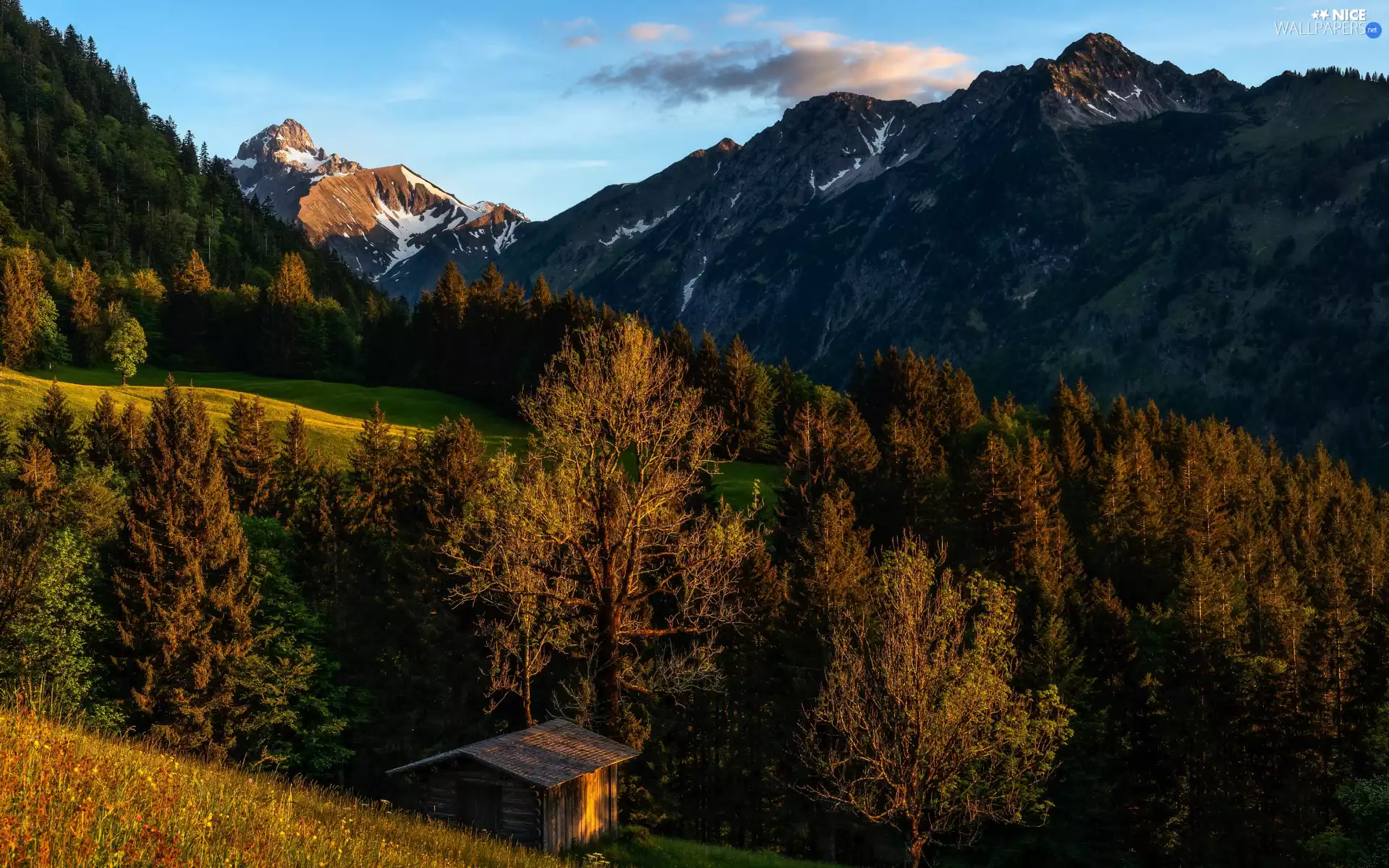 trees, viewes, clouds, Wooden, medows, forest, Mountains, cote