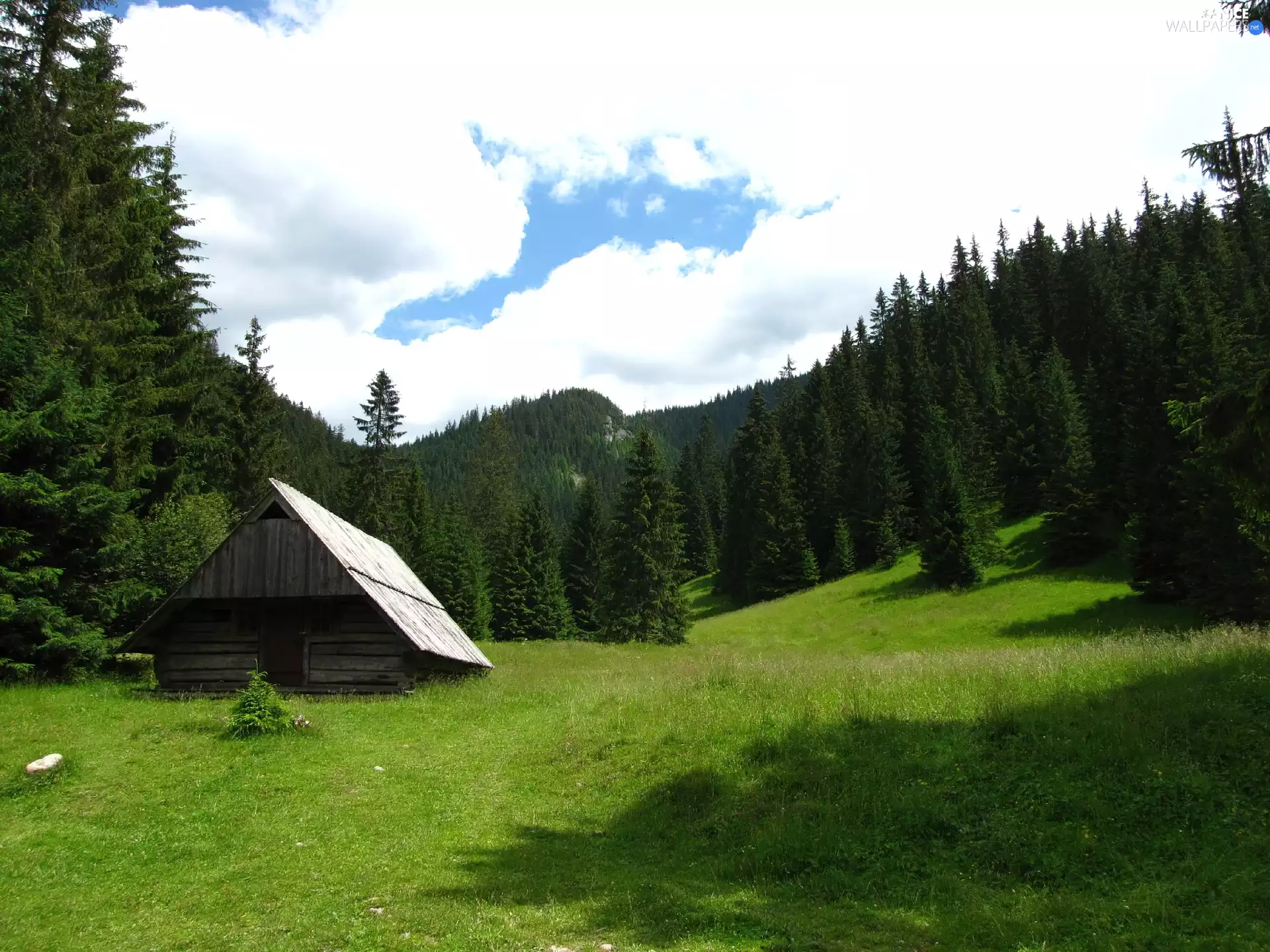 grass, forest, Mountains, cottage