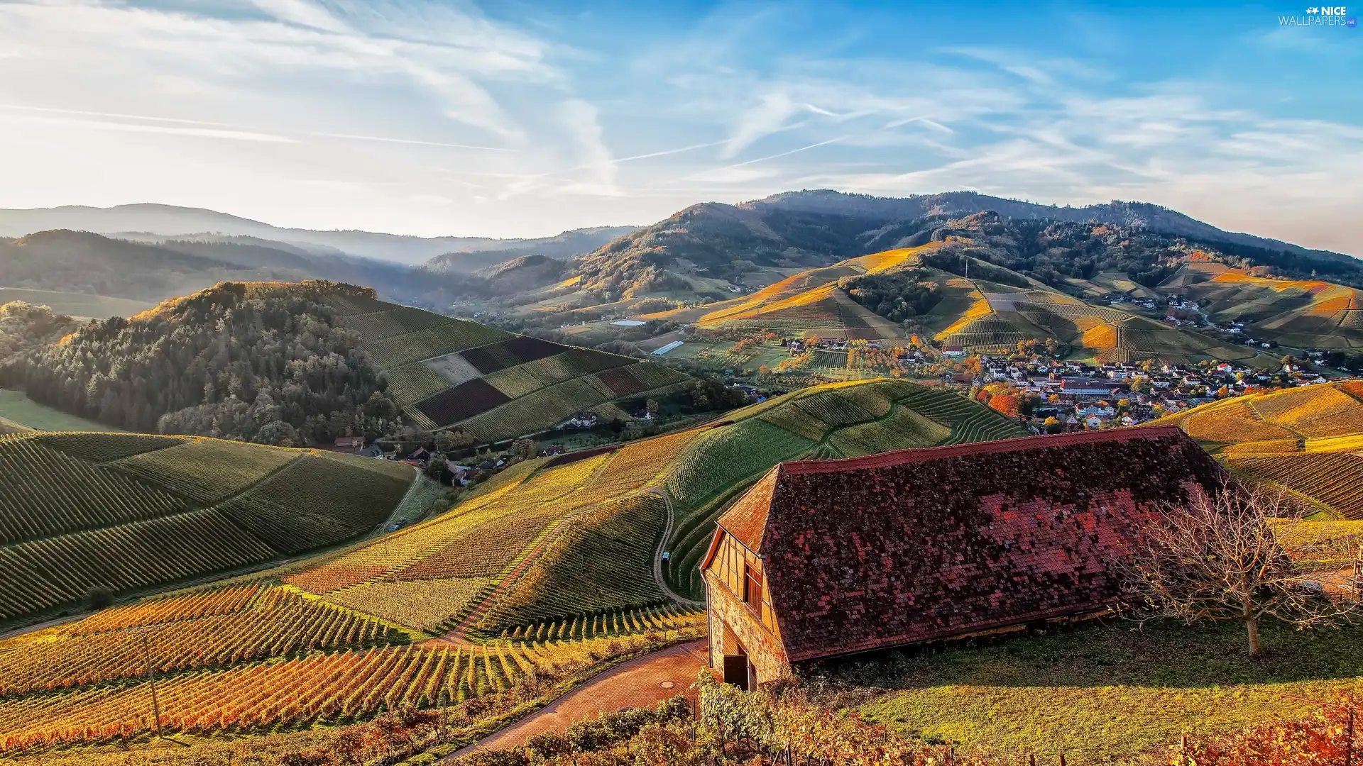 The Hills, field, trees, vineyards, Mountains, house, country