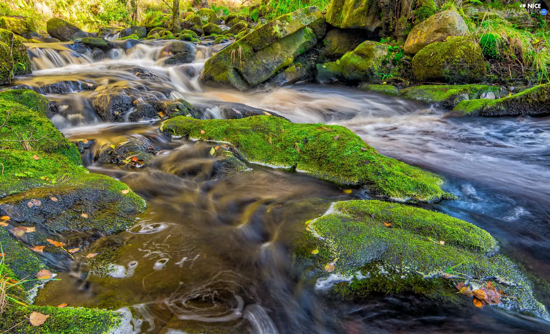 mossy, Stones, Yorkshire County, Wharfe River, England