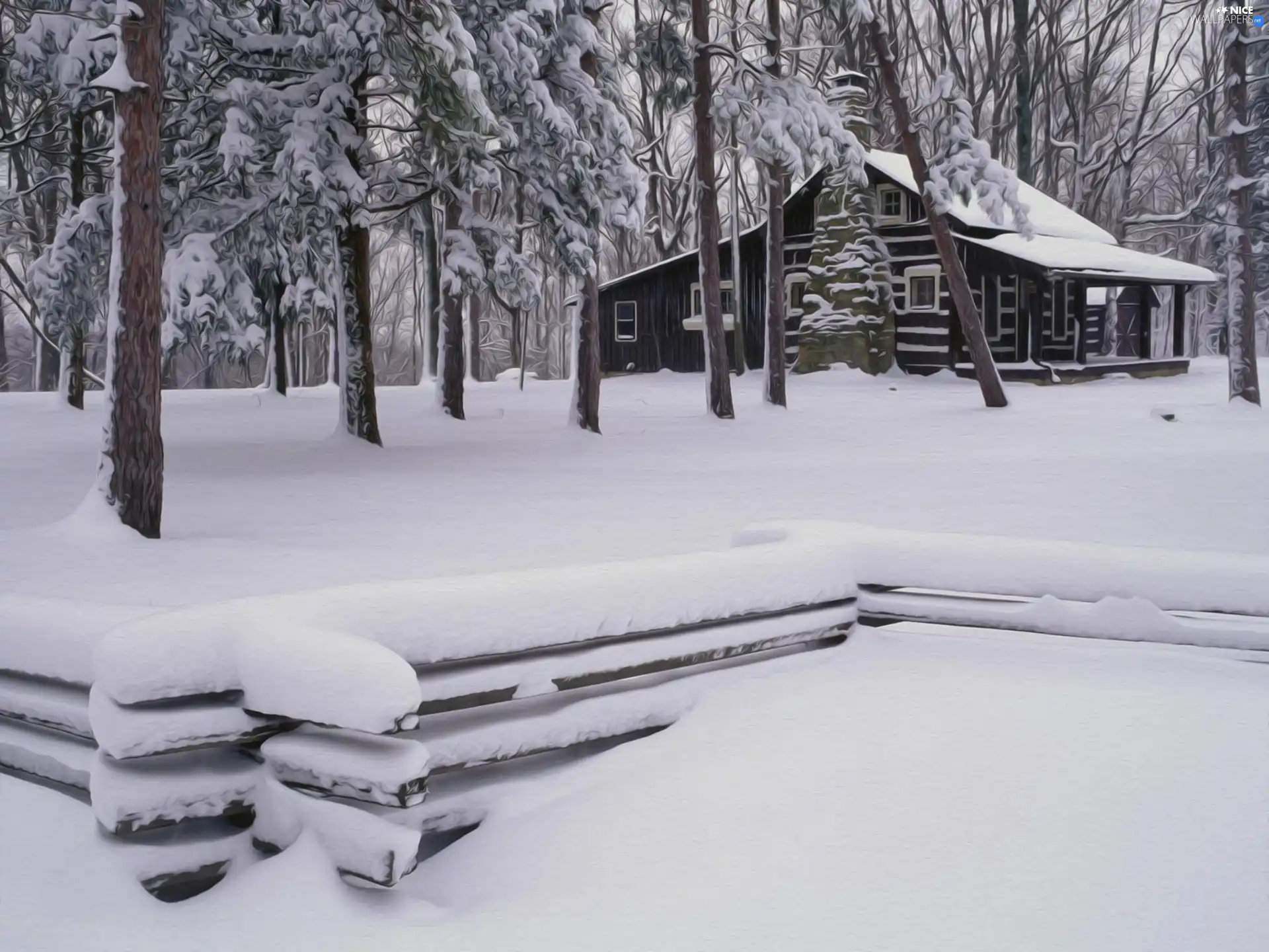 Covered, snow, wooden, house, forest