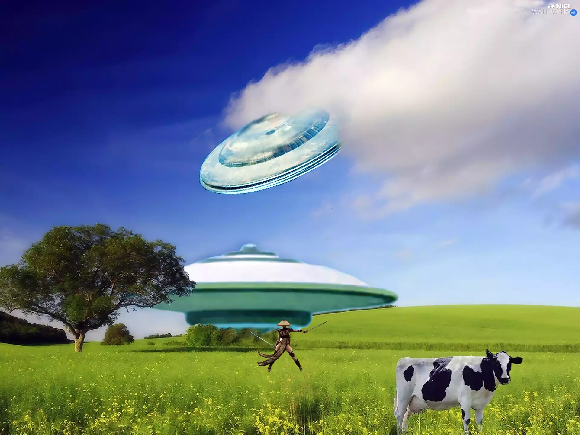 Cow, ufo