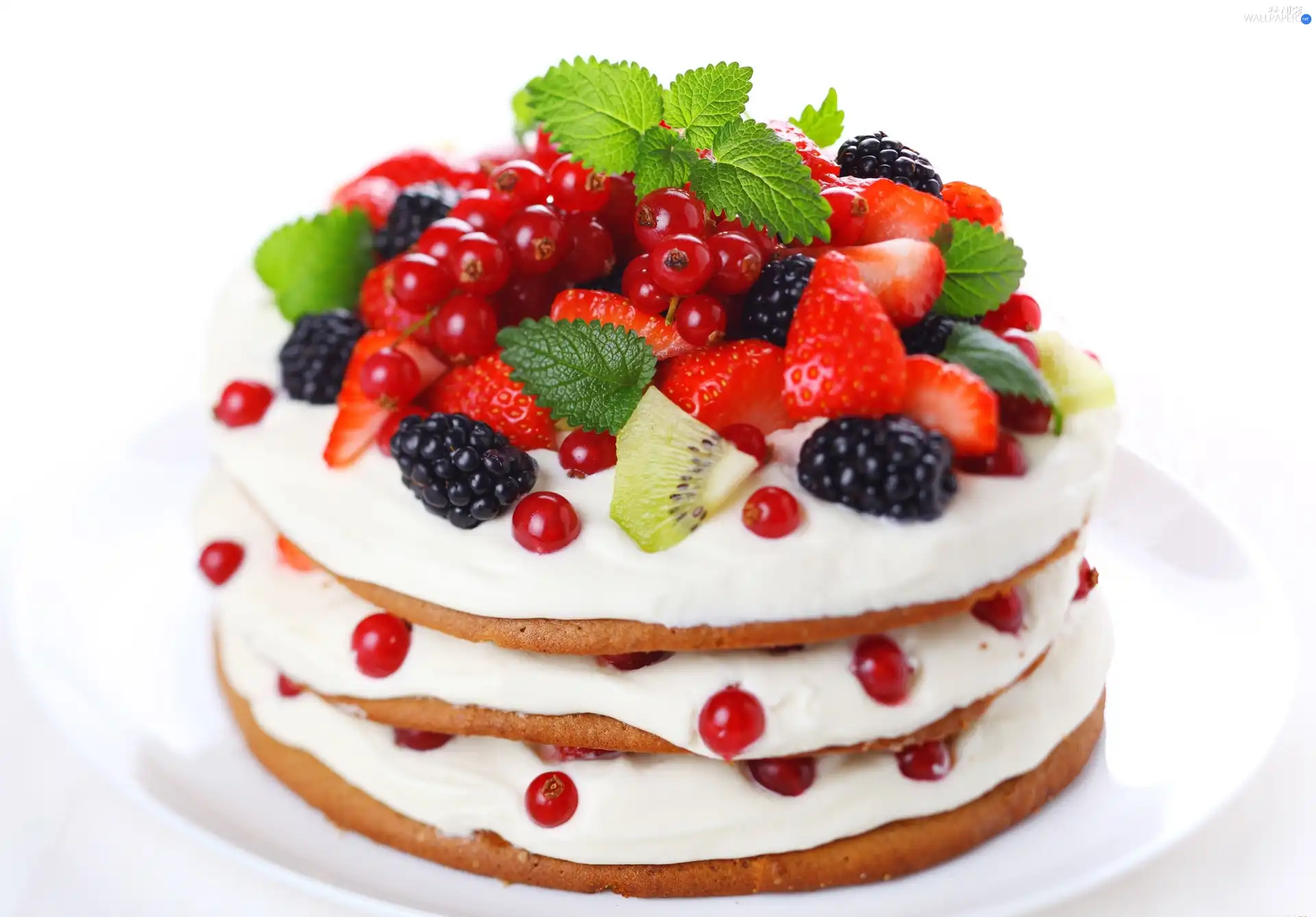 cake, whipped, cream, fruity