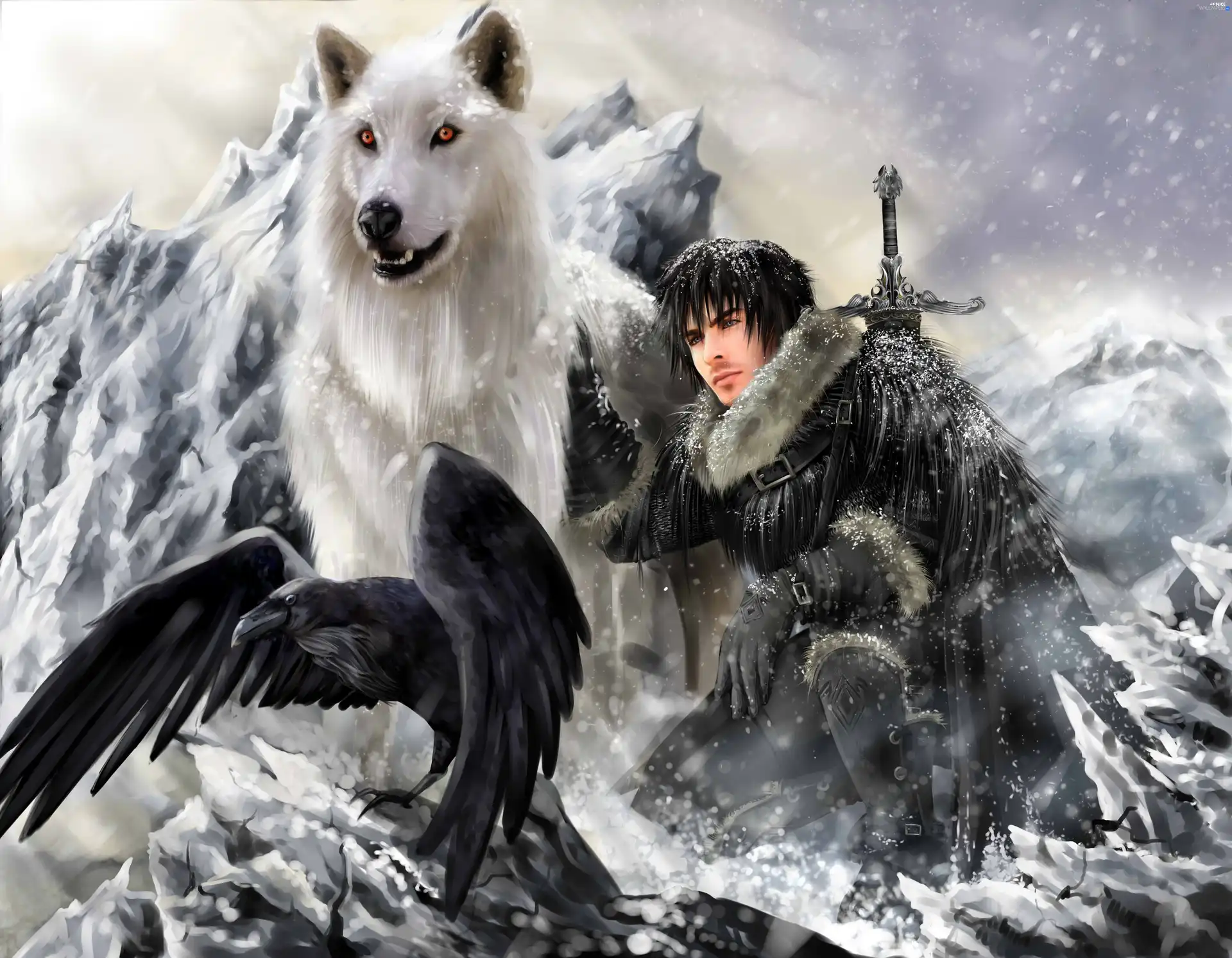 Crow, snow, dog, Mountains, a man