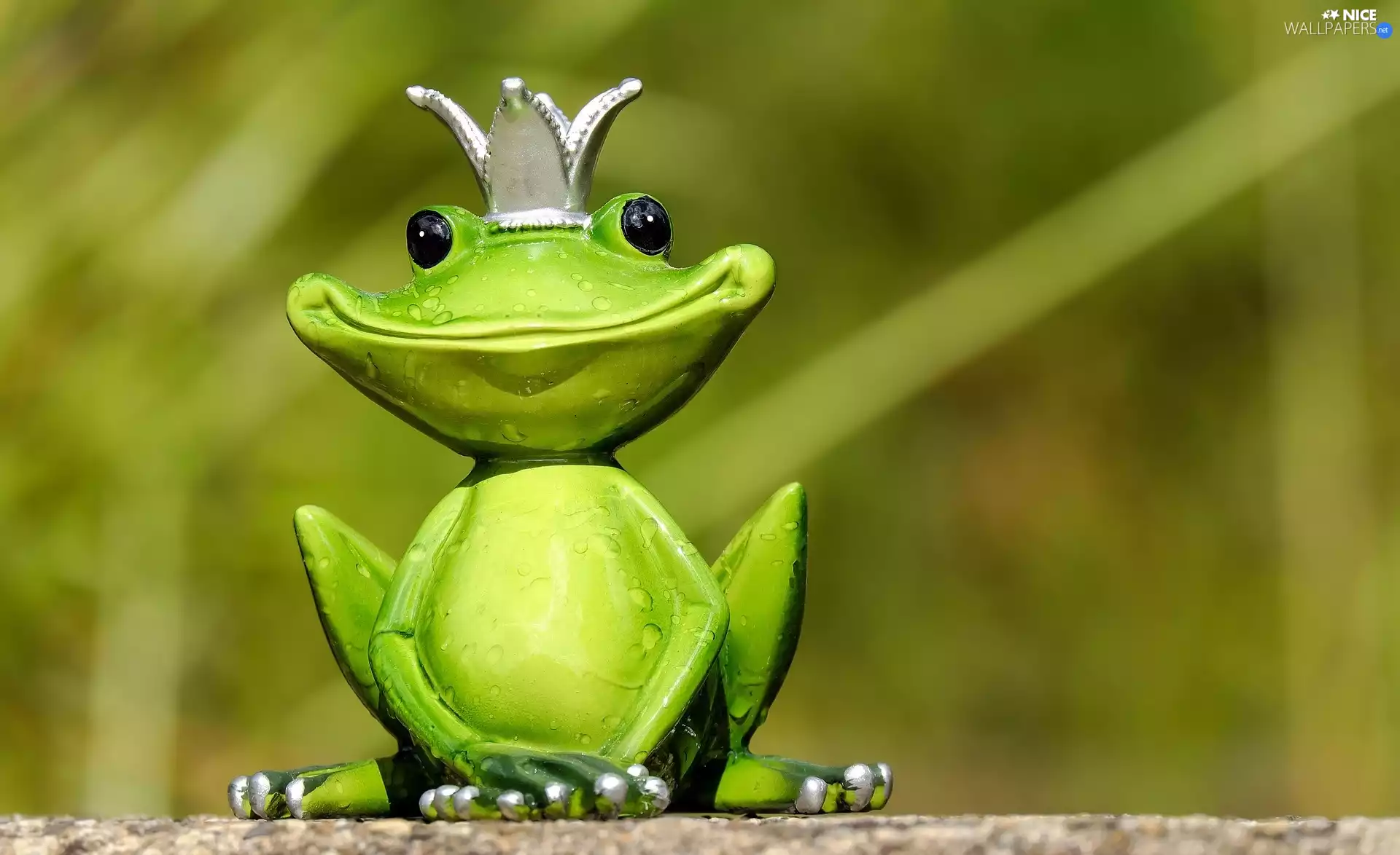 Crown, decoration, frog