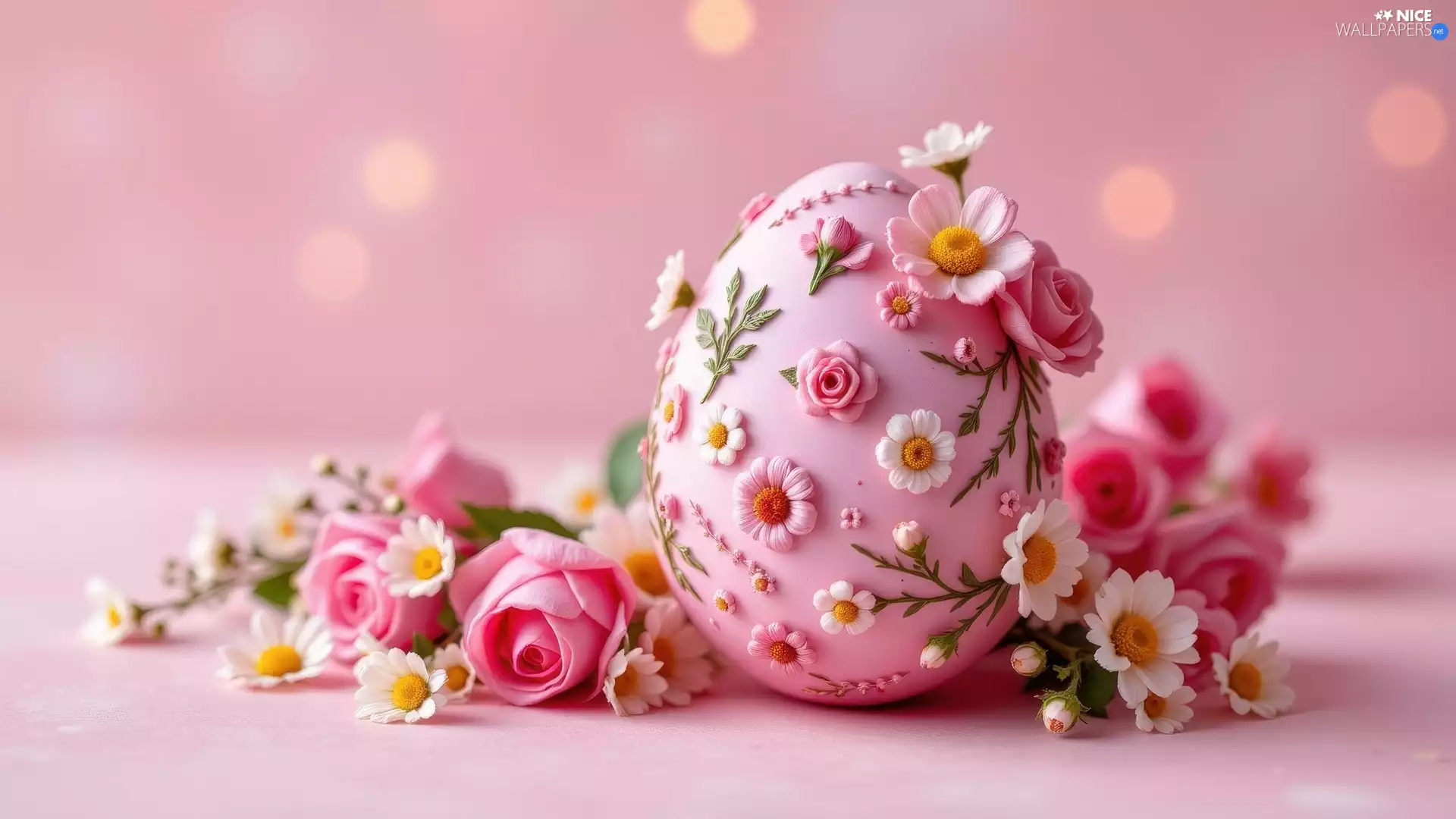 egg, roses, background, White, Pink, Pink, Easter, daisies