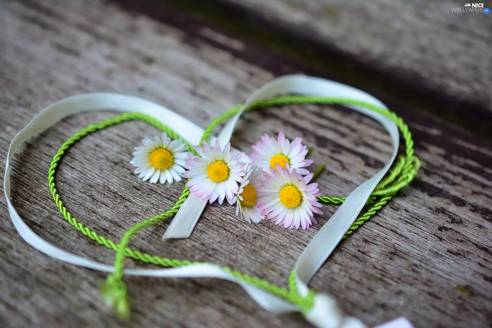 Flowers, Heart, twine, daisies