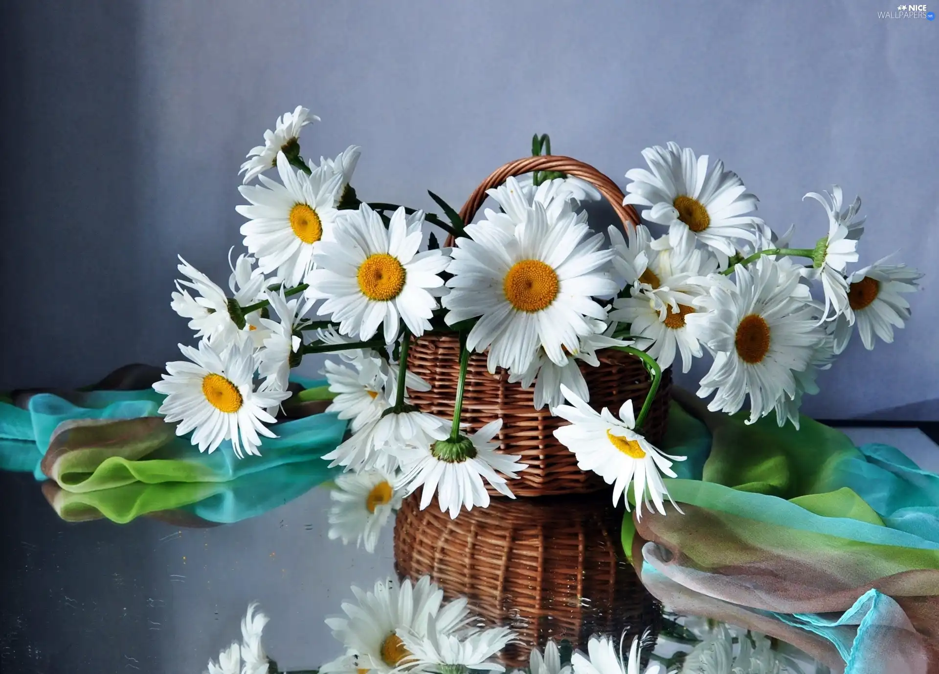 daisy, basket, White