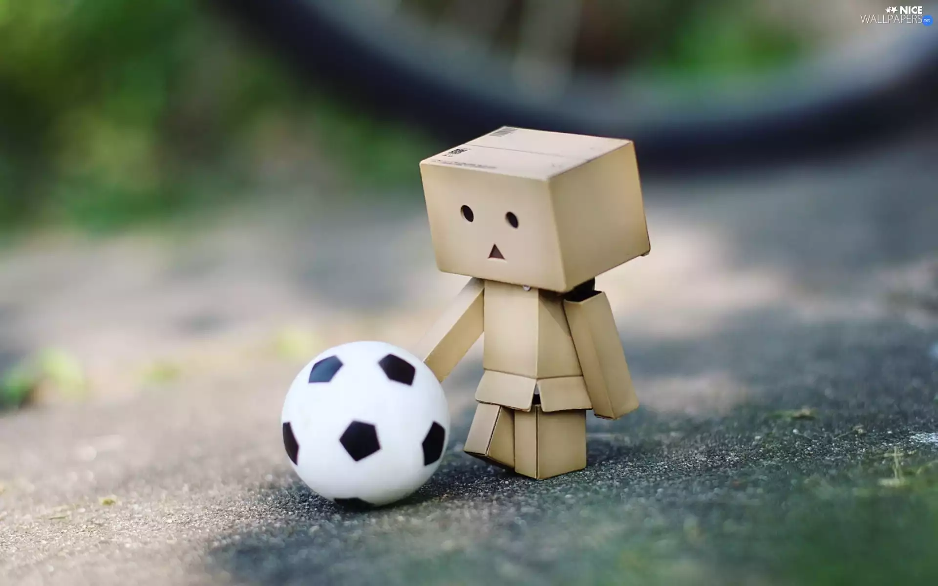 Danbo, Ball