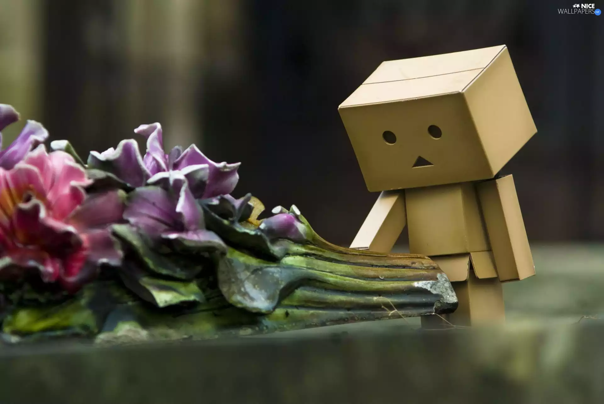 Danbo, Flowers