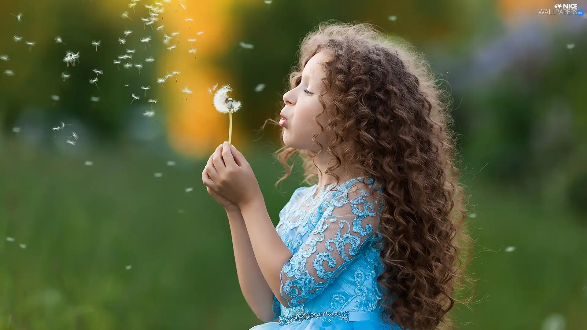 Hair, girl, dress, dandelion, Blue, spiral