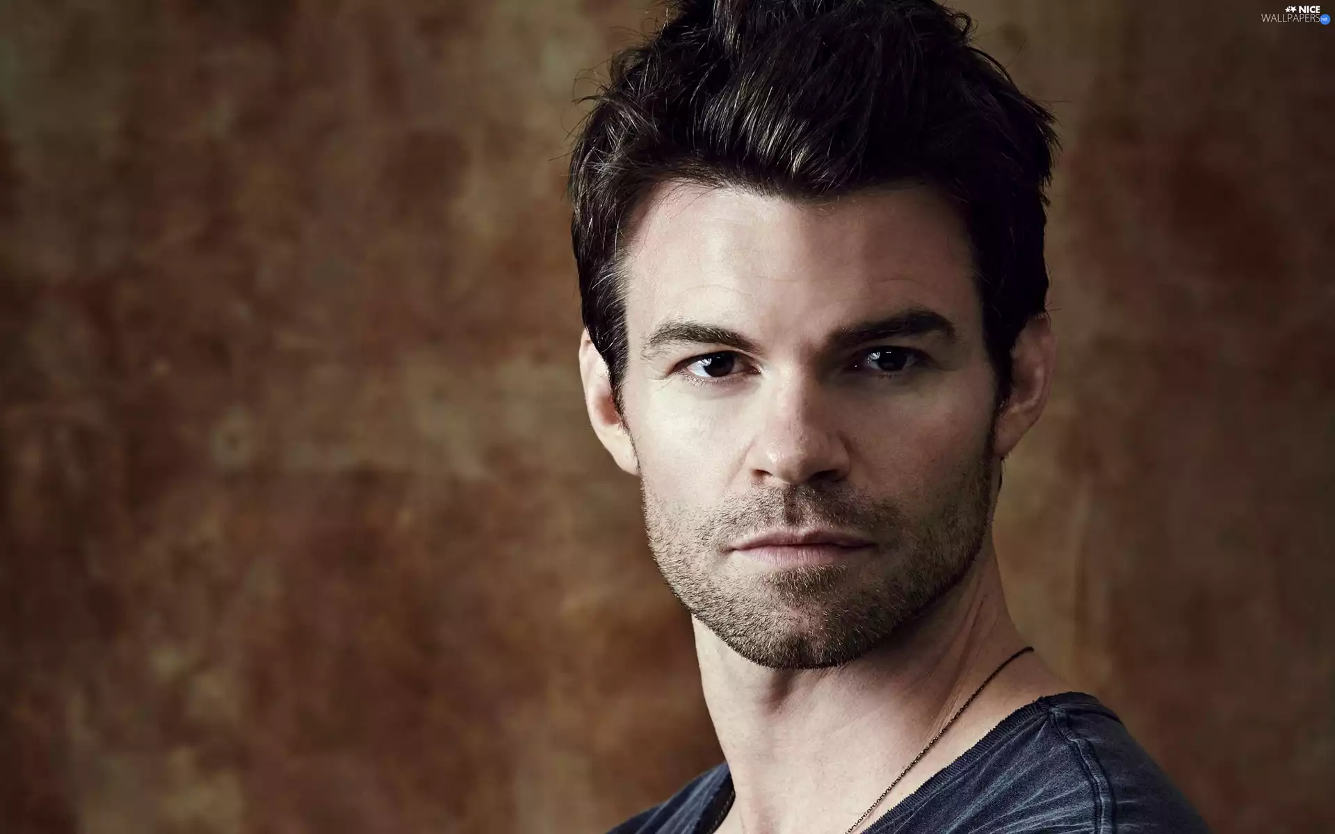 Daniel Gillies, hair