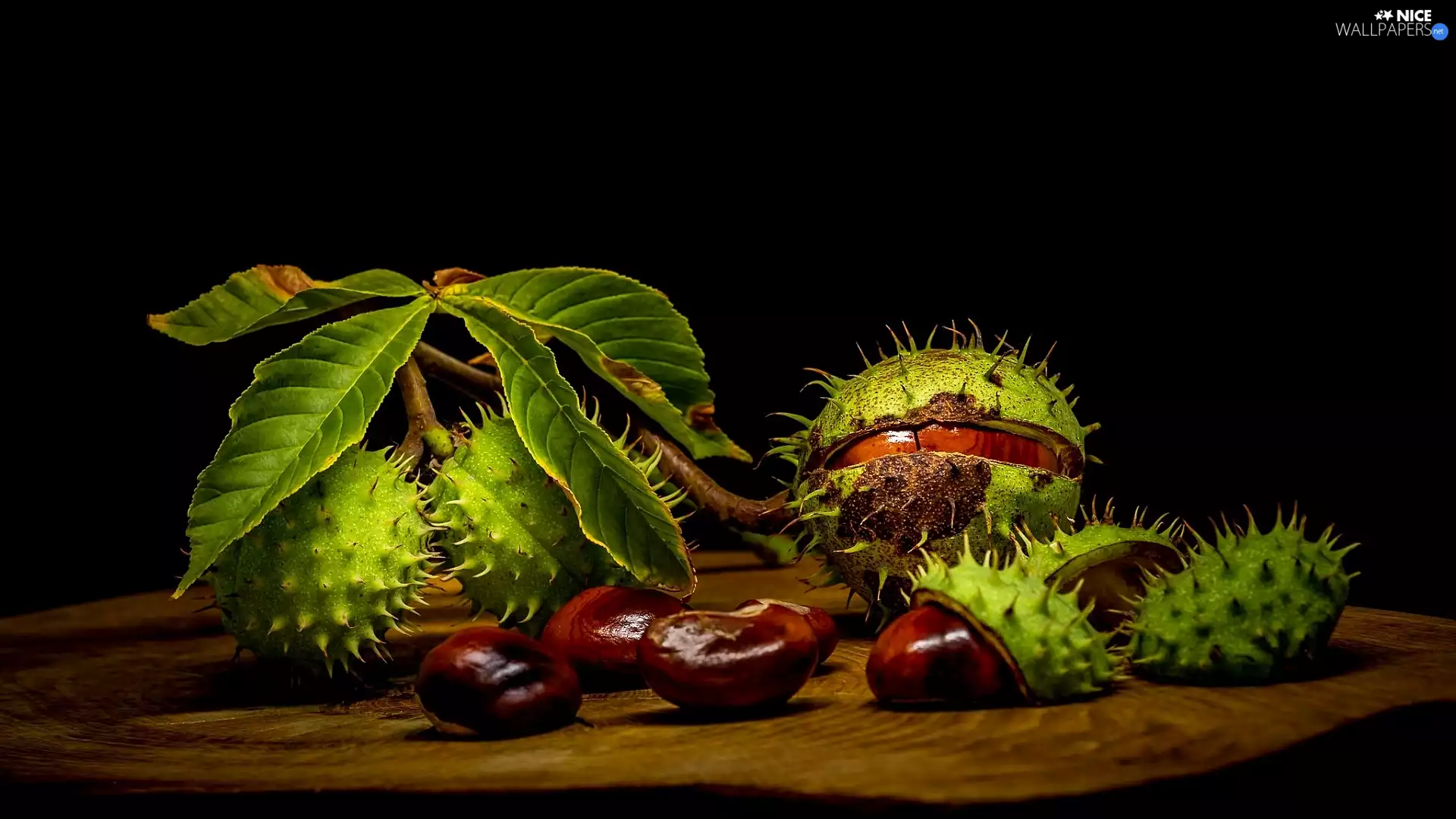 Leaf, chestnut, parings, Dark Background, chestnuts, twig