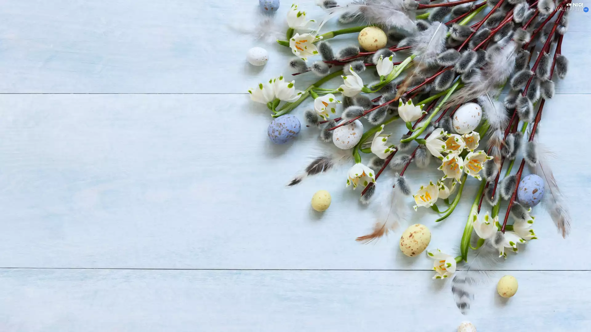 eggs, palms, Leucojum, database, Easter, Flowers, boarding