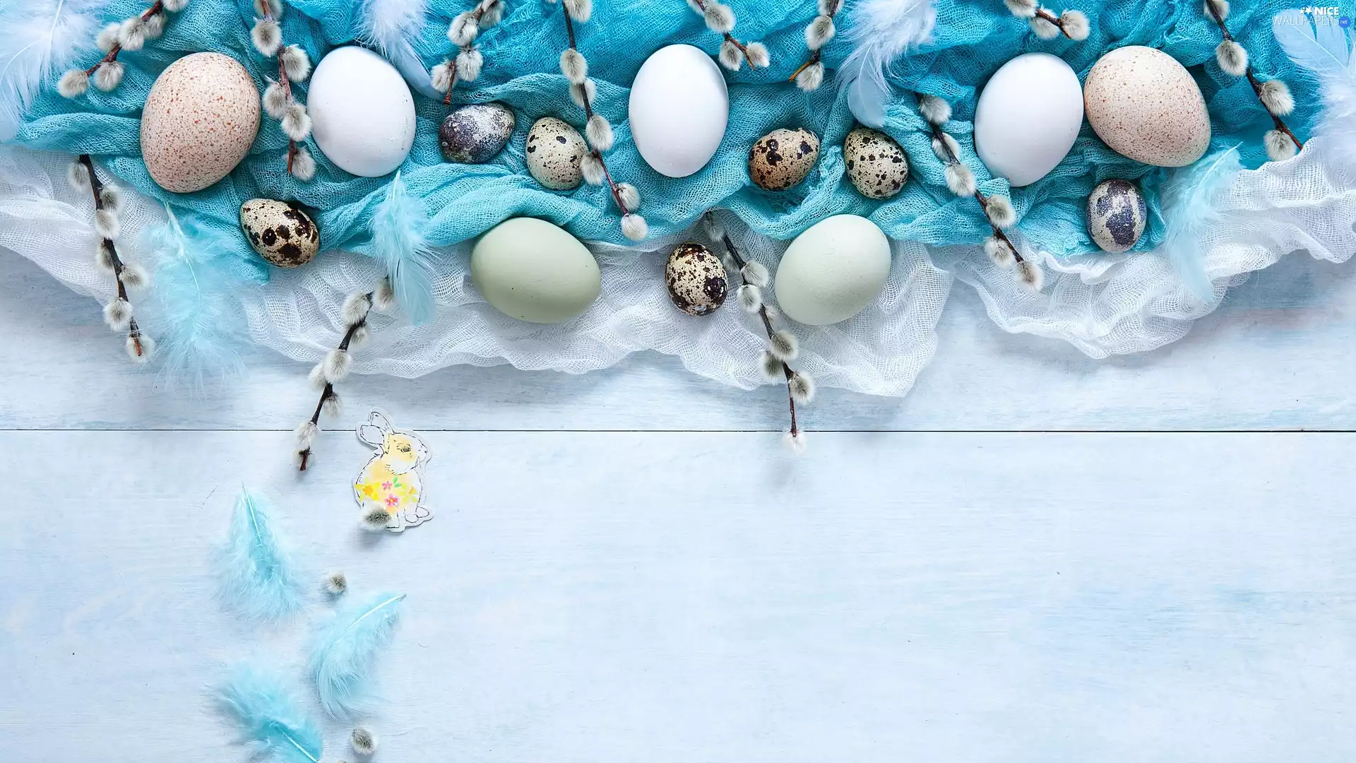 stuff, eggs, pen, database, Easter, rabbit, boarding