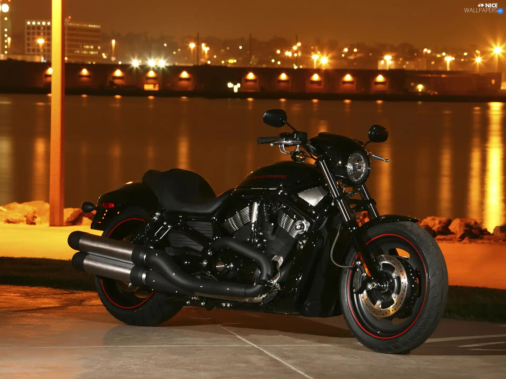 Night, Black, Harley Davidson Night Rod Special