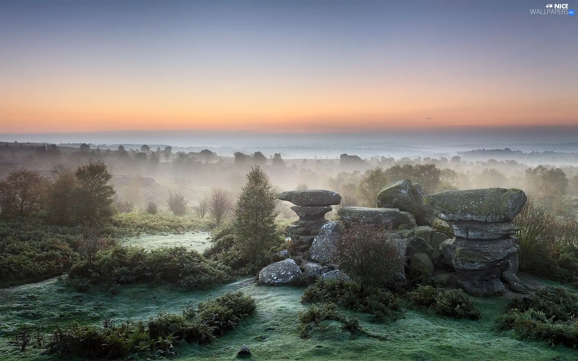 dawn, Fog, rocks