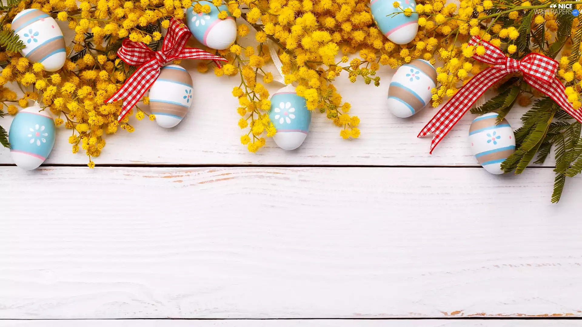bow, Easter, Acacia Dealbata, eggs, Twigs
