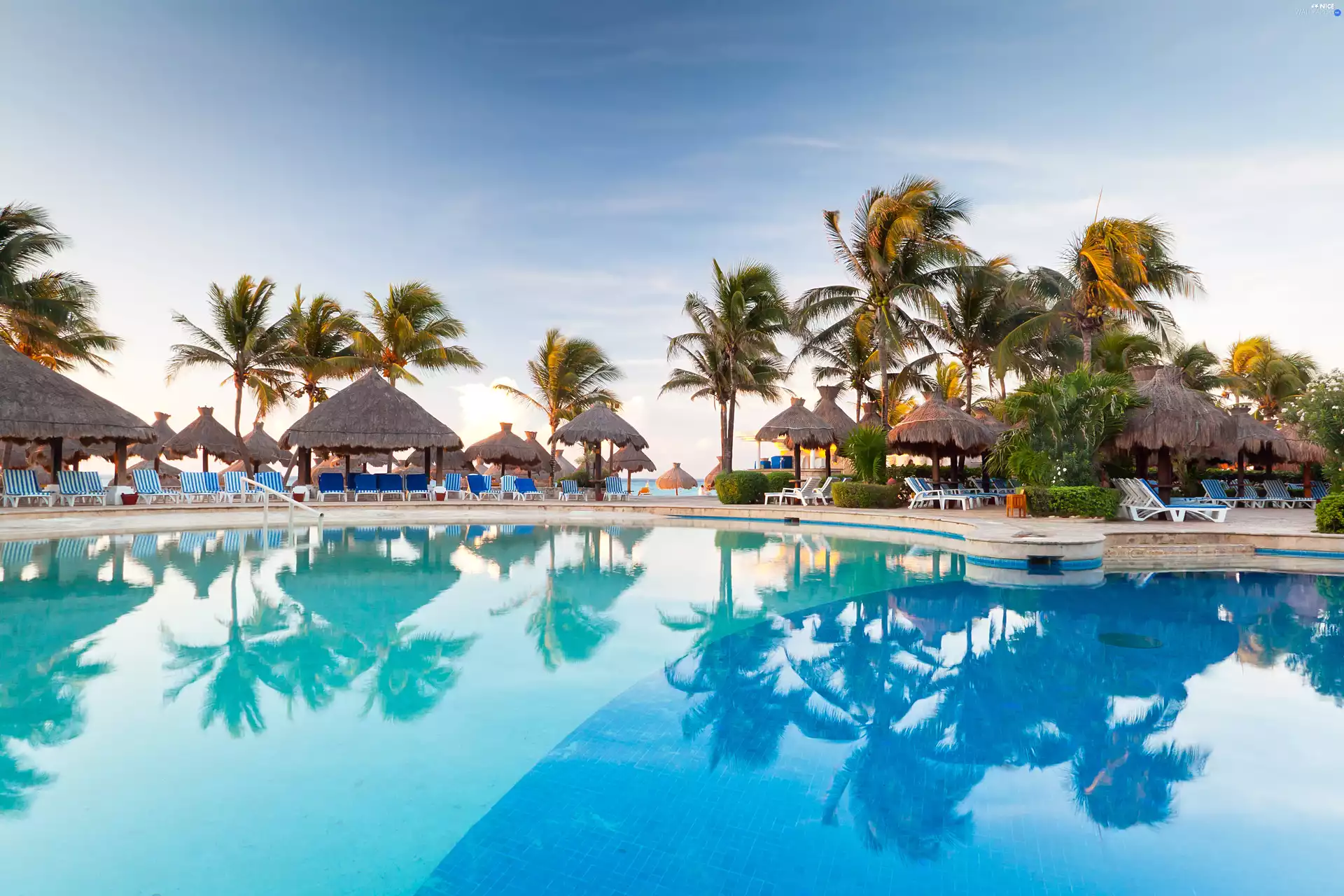 rest, holiday, Palms, deck chair, Pool