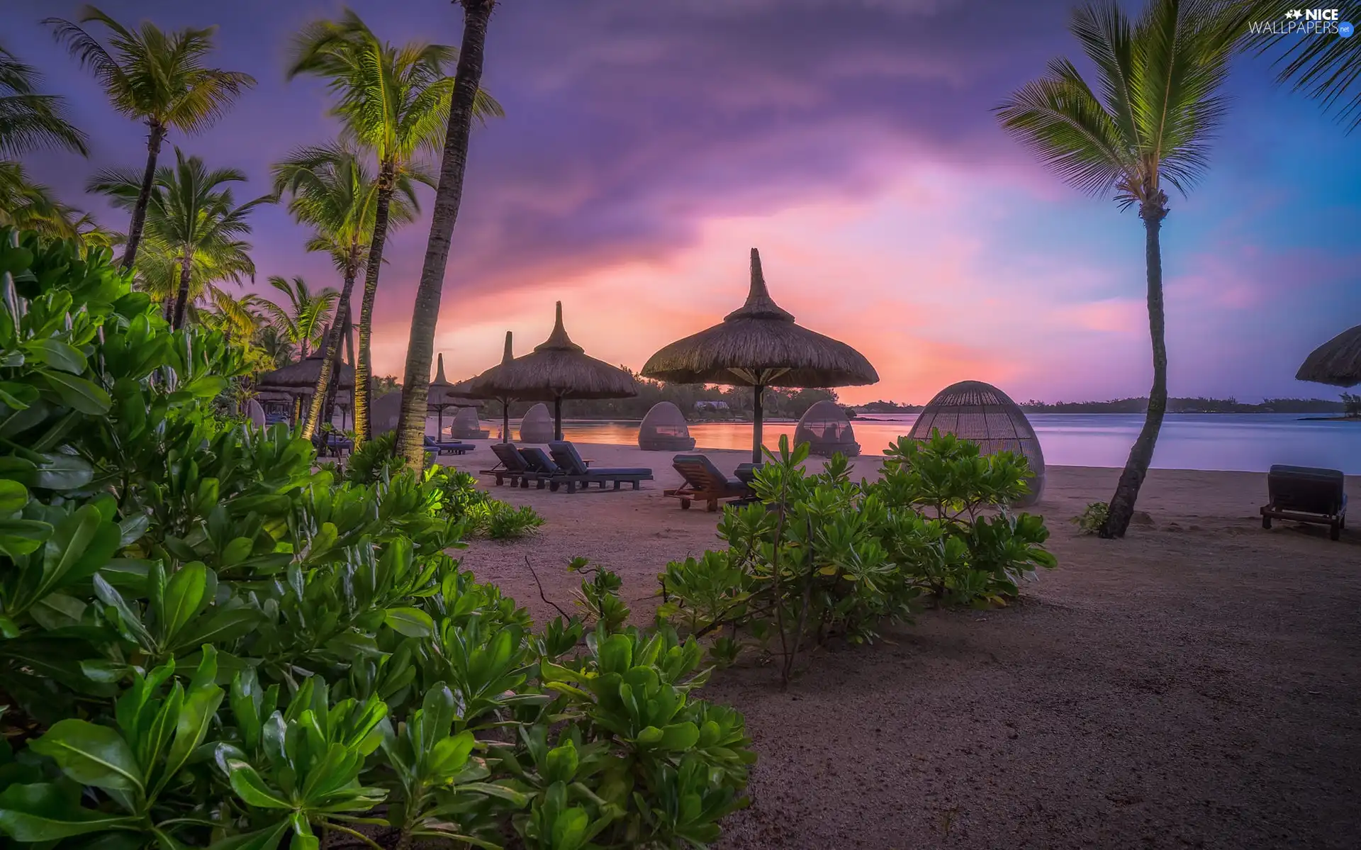 deck chair, Sunshade, Mauritius, Palms, Great Sunsets, Beaches, sea, VEGETATION