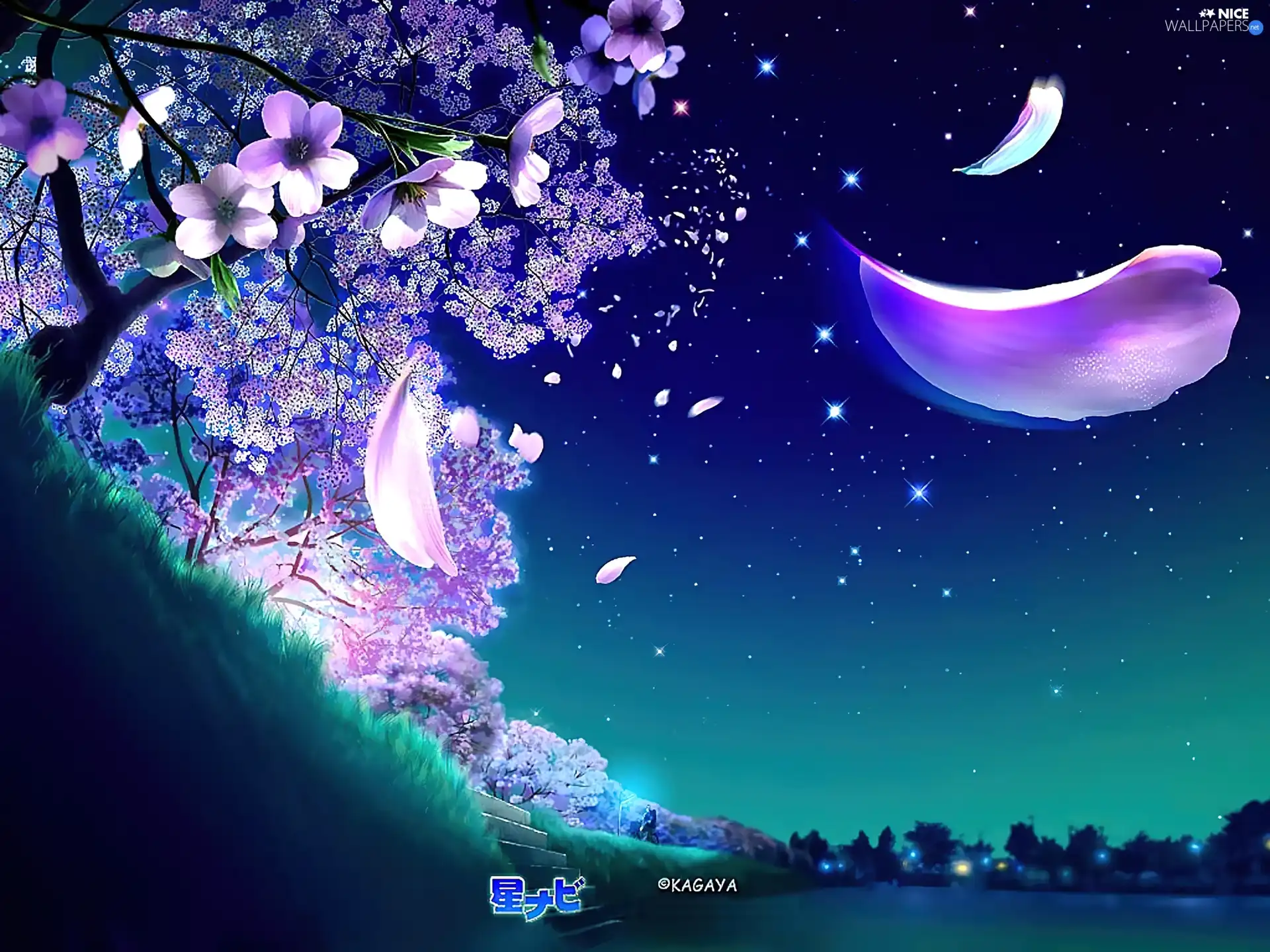 trees, graphics, declining, petal, Flowers, Kagaya